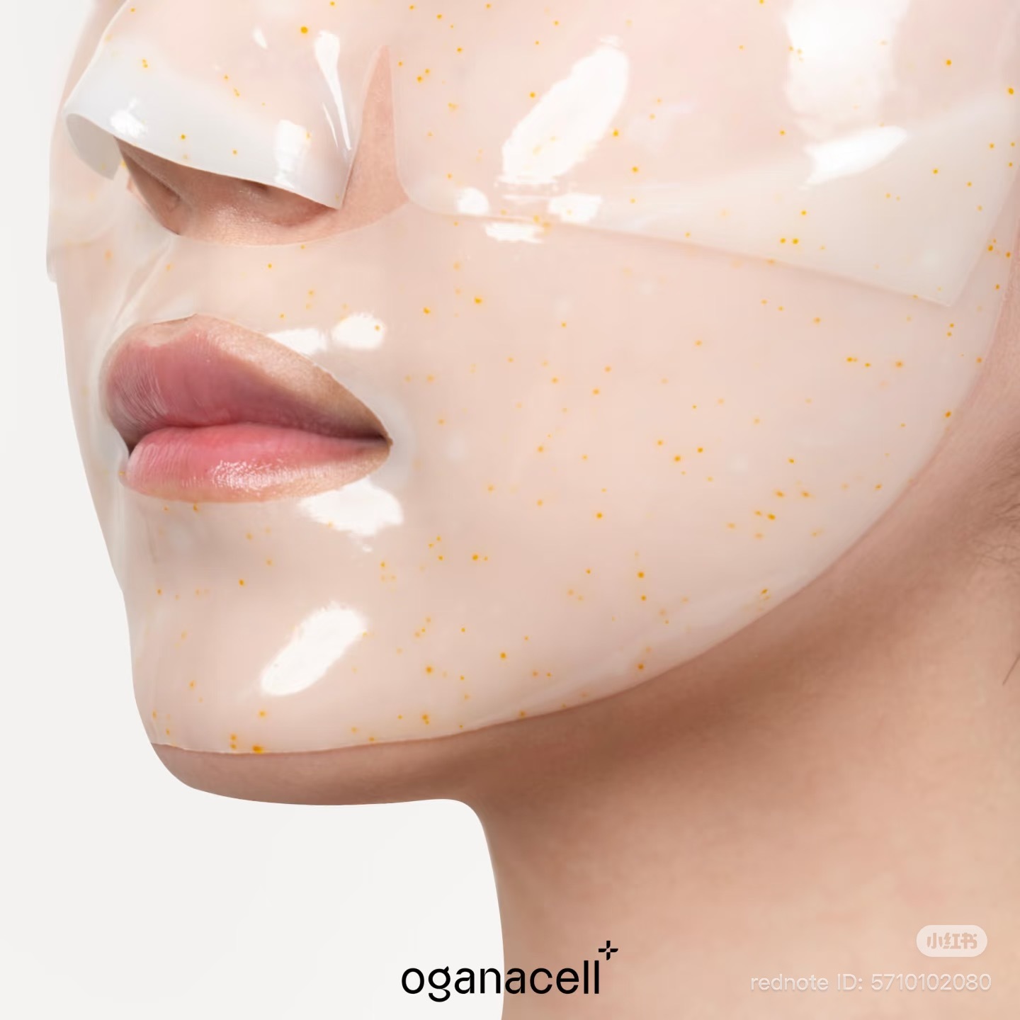 image_95A0E7BA-5997-426E-BB4E-6B0392B4C6CC_1762929272