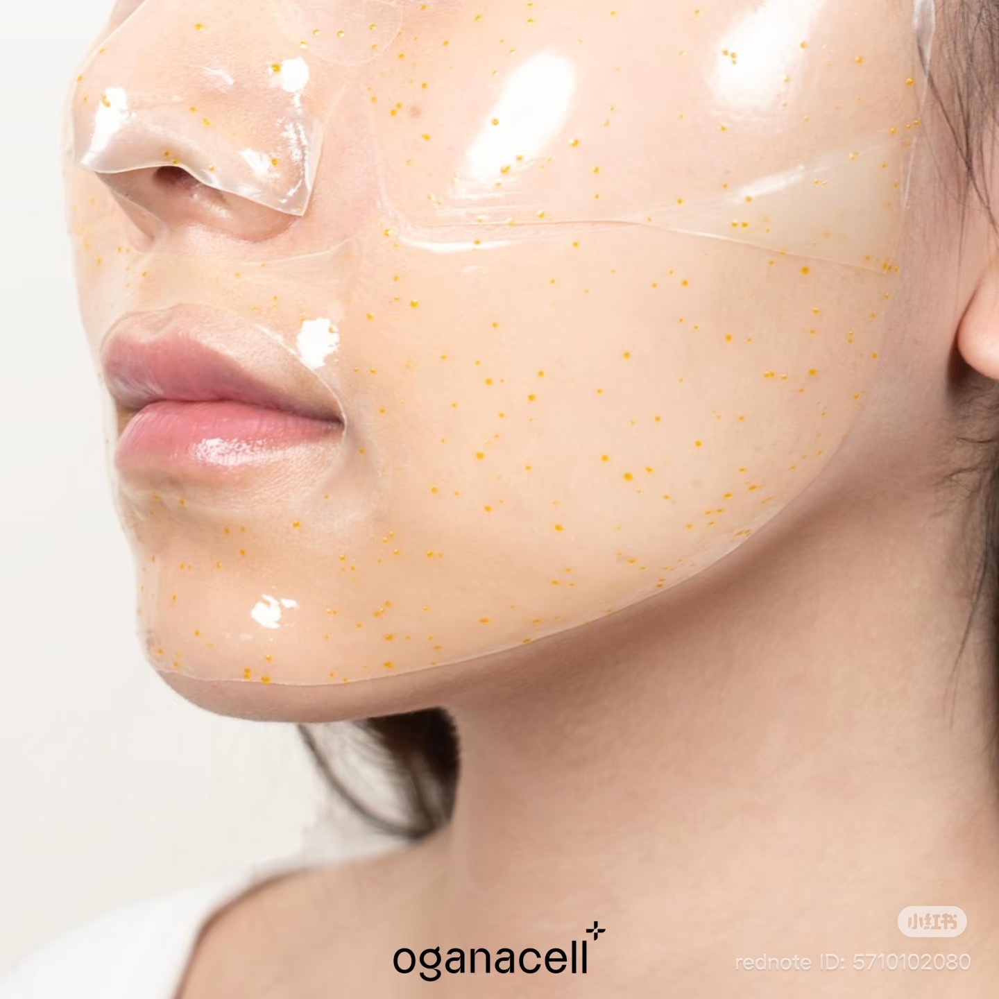 image_3D39F37B-2854-43EB-9C48-AEFDFB4F1AE0_1762929272