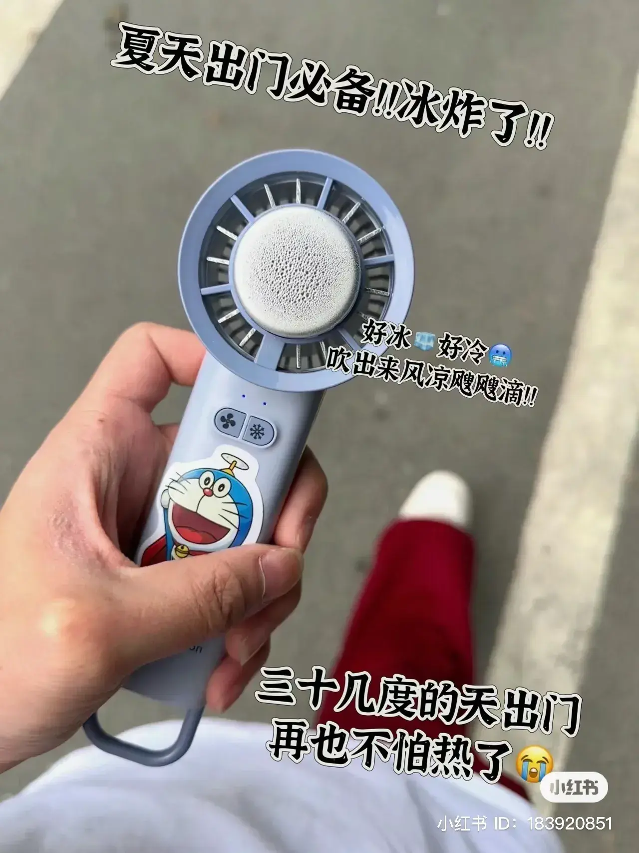 IMG_2906-1726573745530