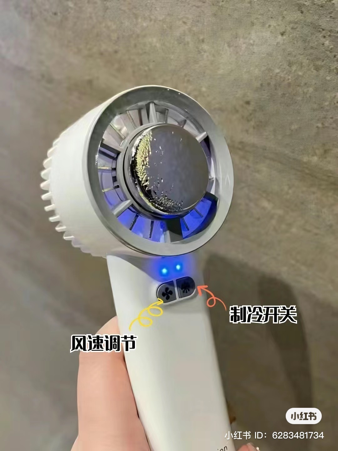 IMG_2912-1726573745560