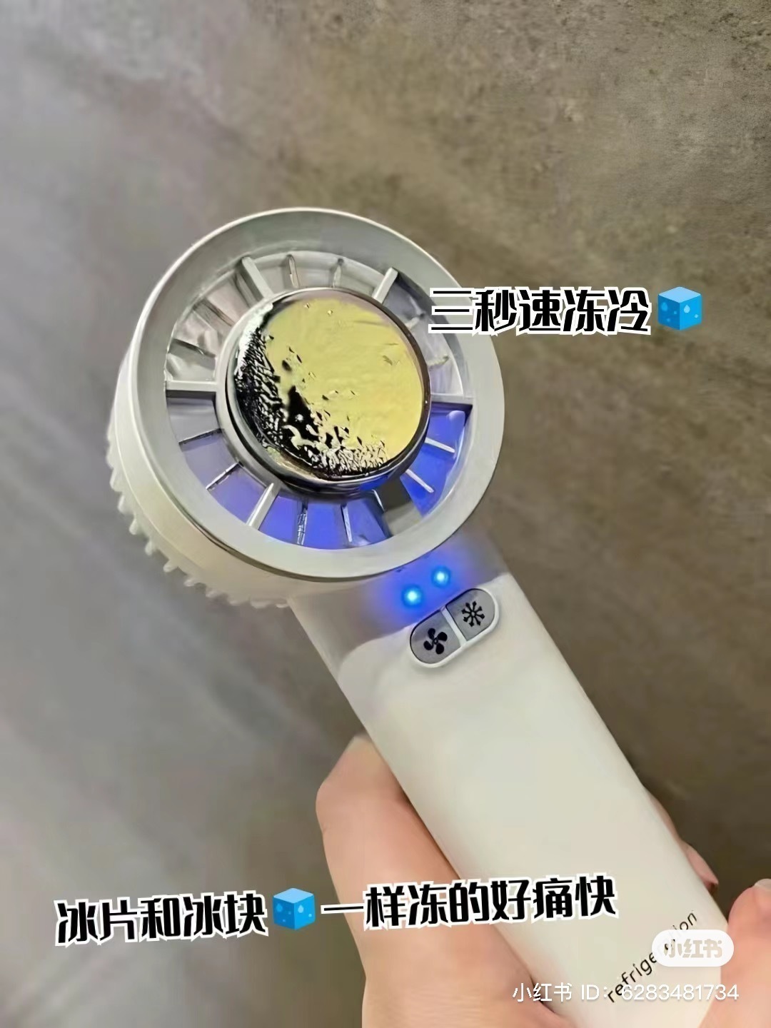 IMG_2911-1726573745567