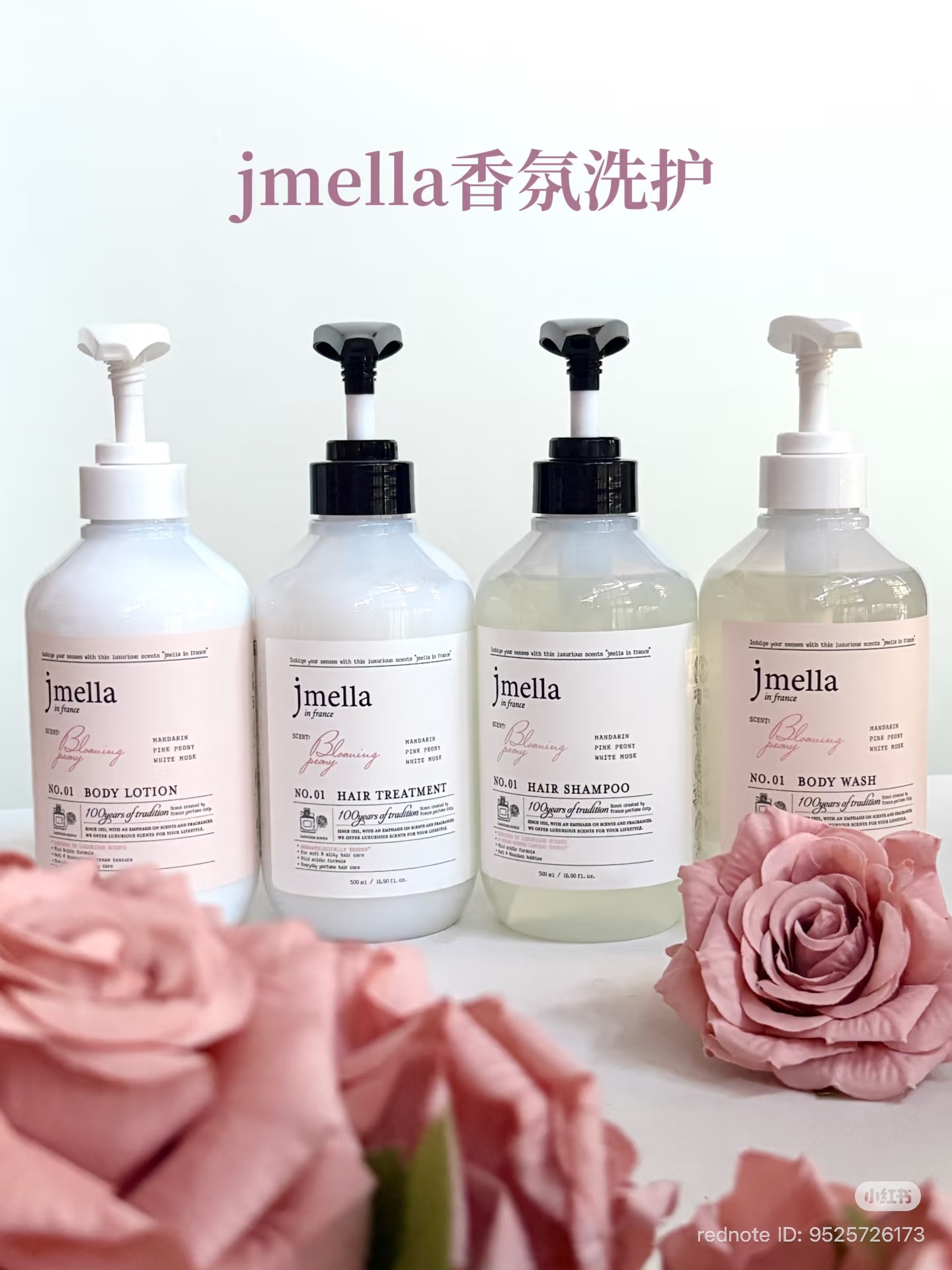 image_29C04554-00E0-4586-8DF9-C49FC428D56F_1763187975