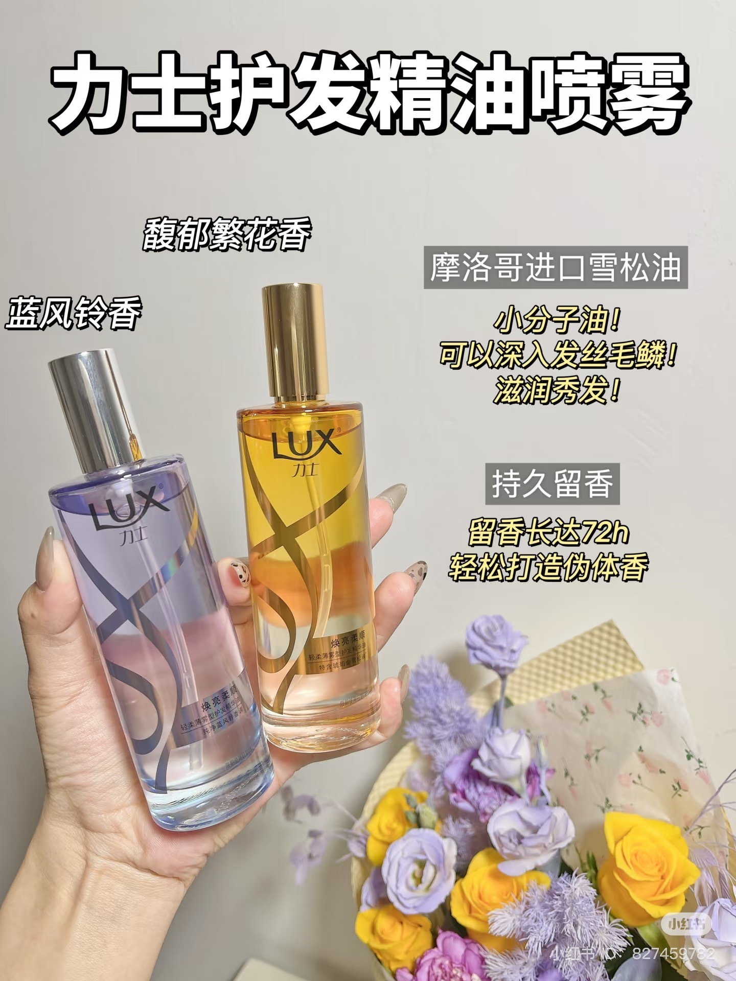 IMG_7773-1735034875022