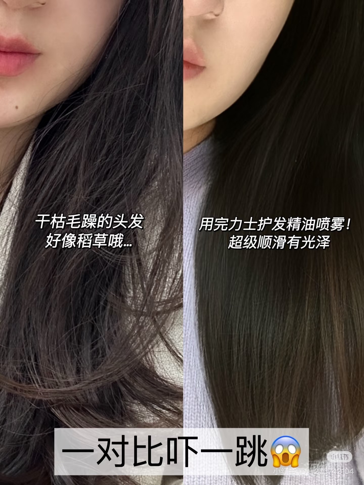 IMG_7780-1735034875034