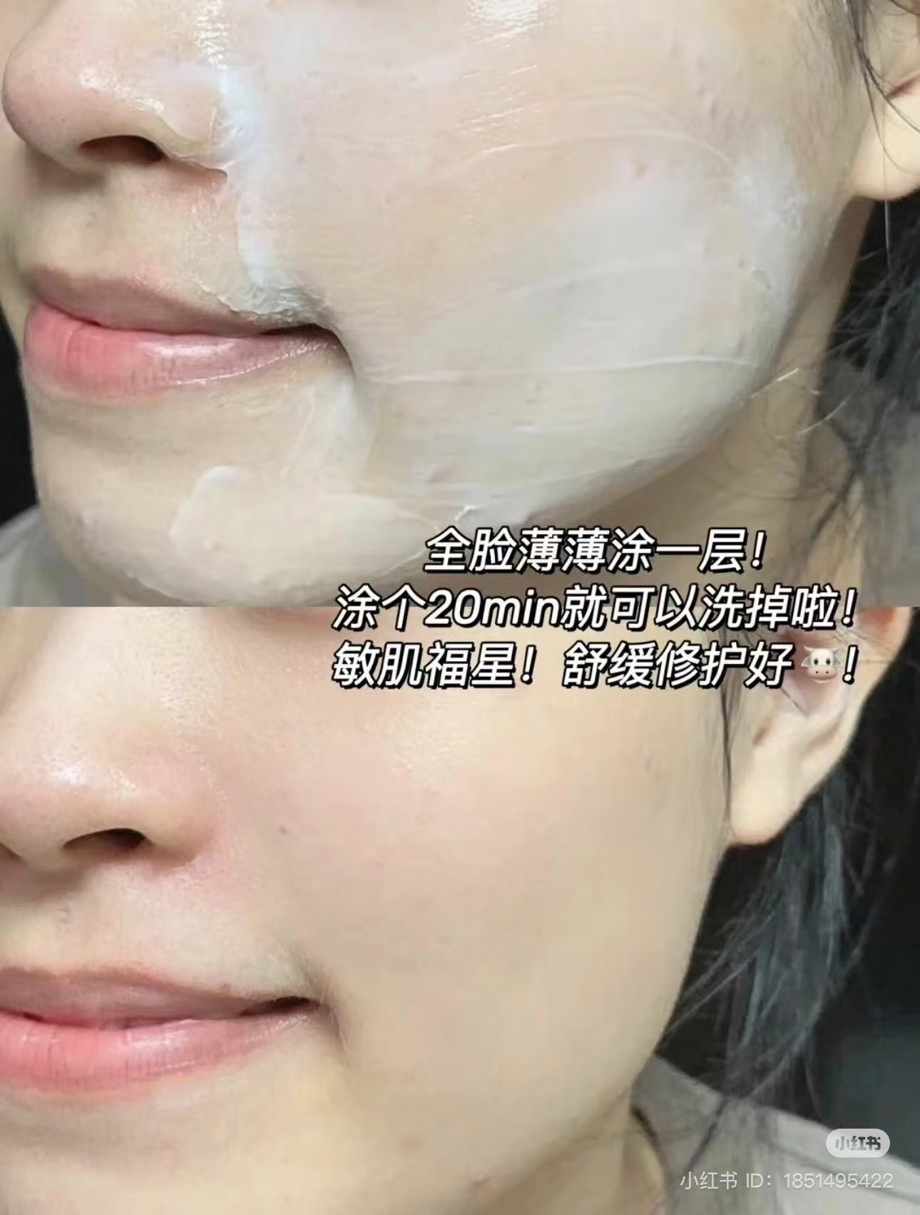 IMG_6743-1734764585794