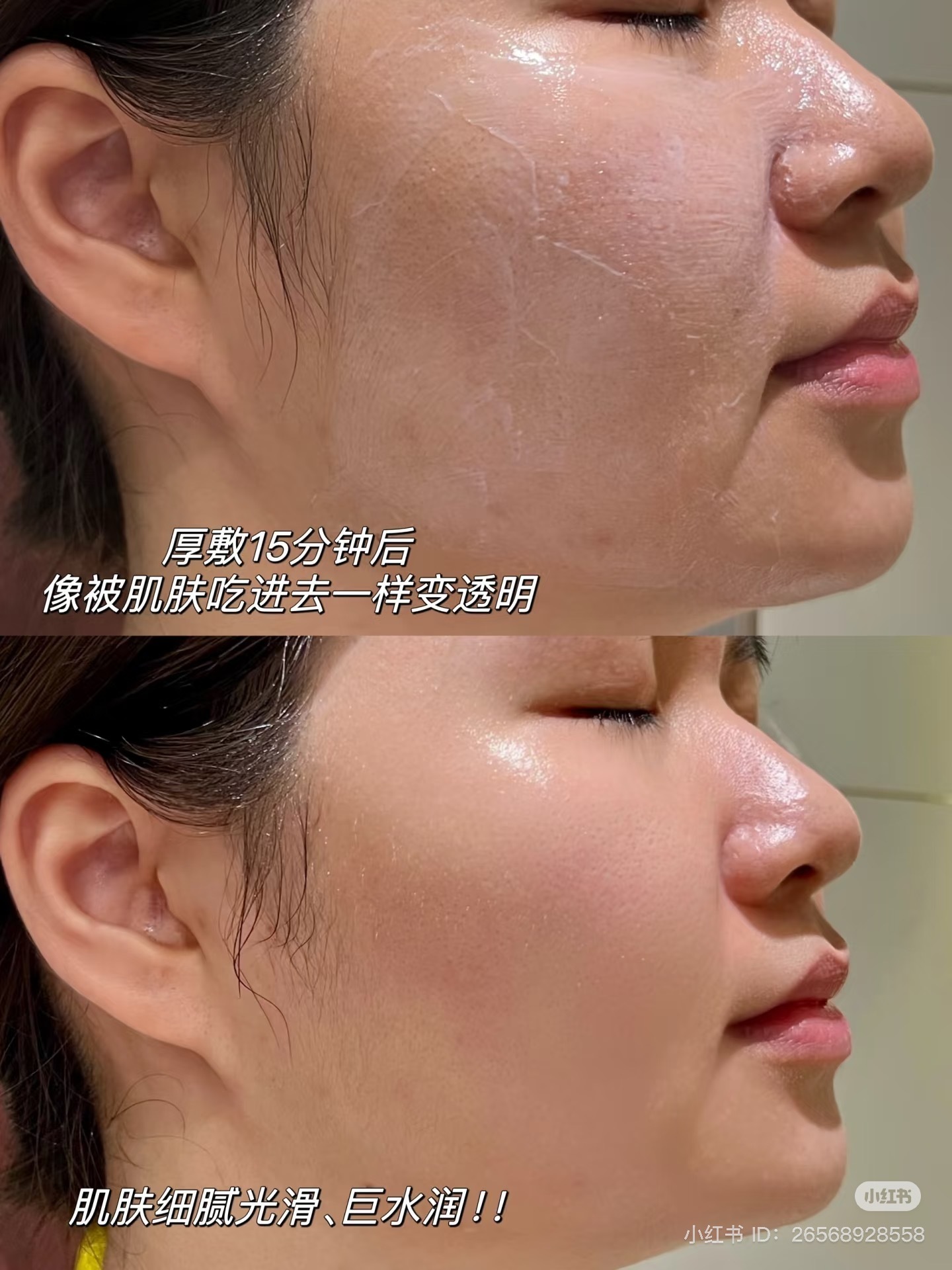 IMG_6744-1734764585799