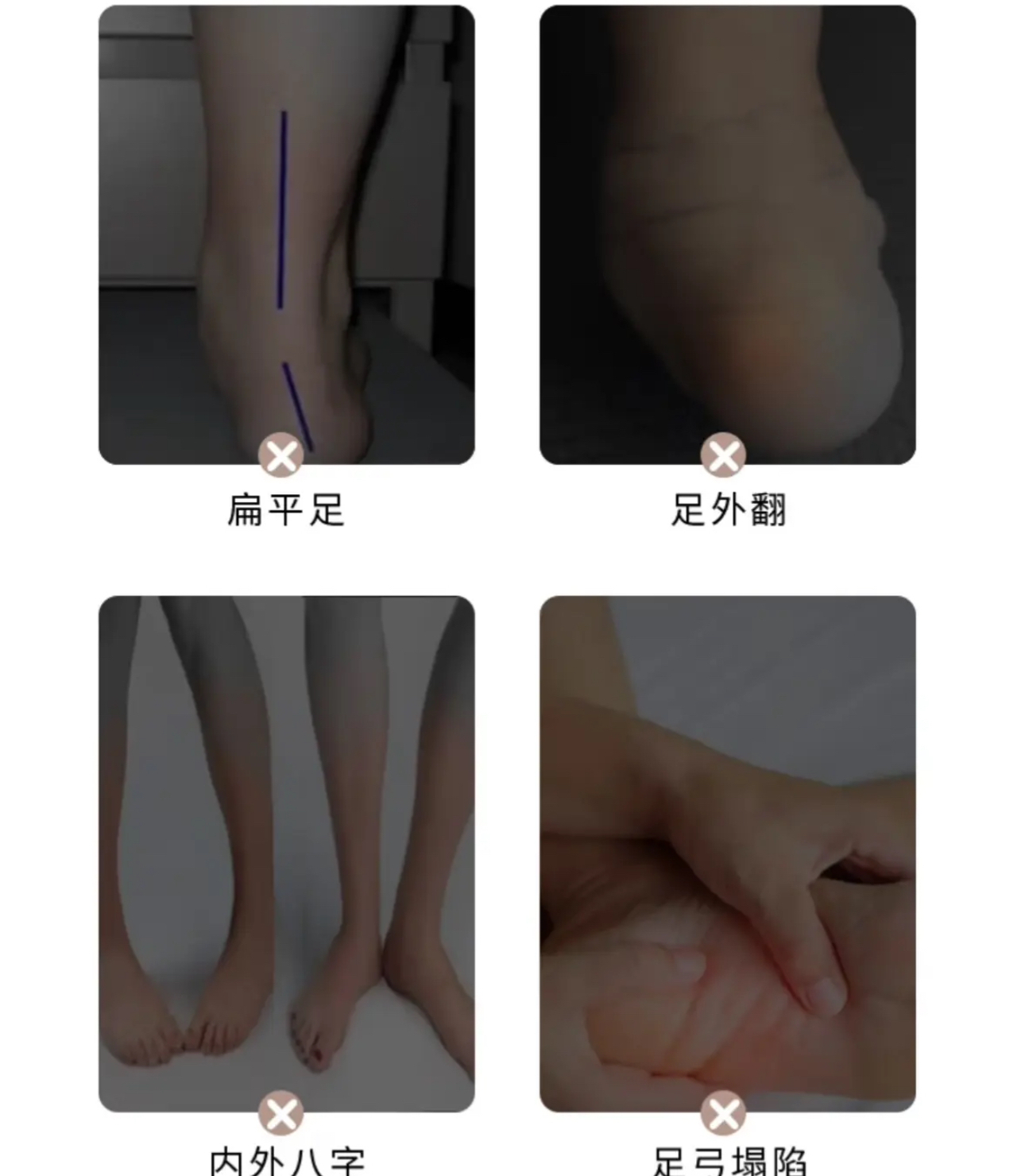 IMG_2755-1725099520467