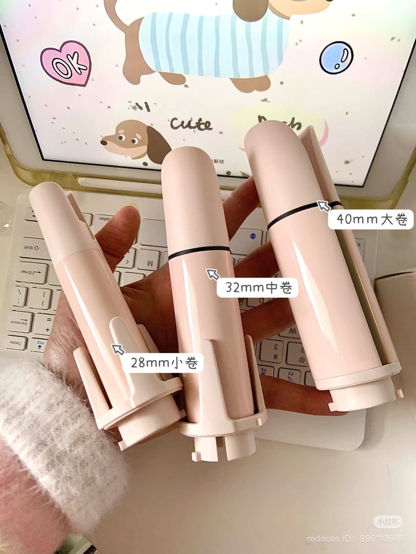 IMG_8791-1740482502826