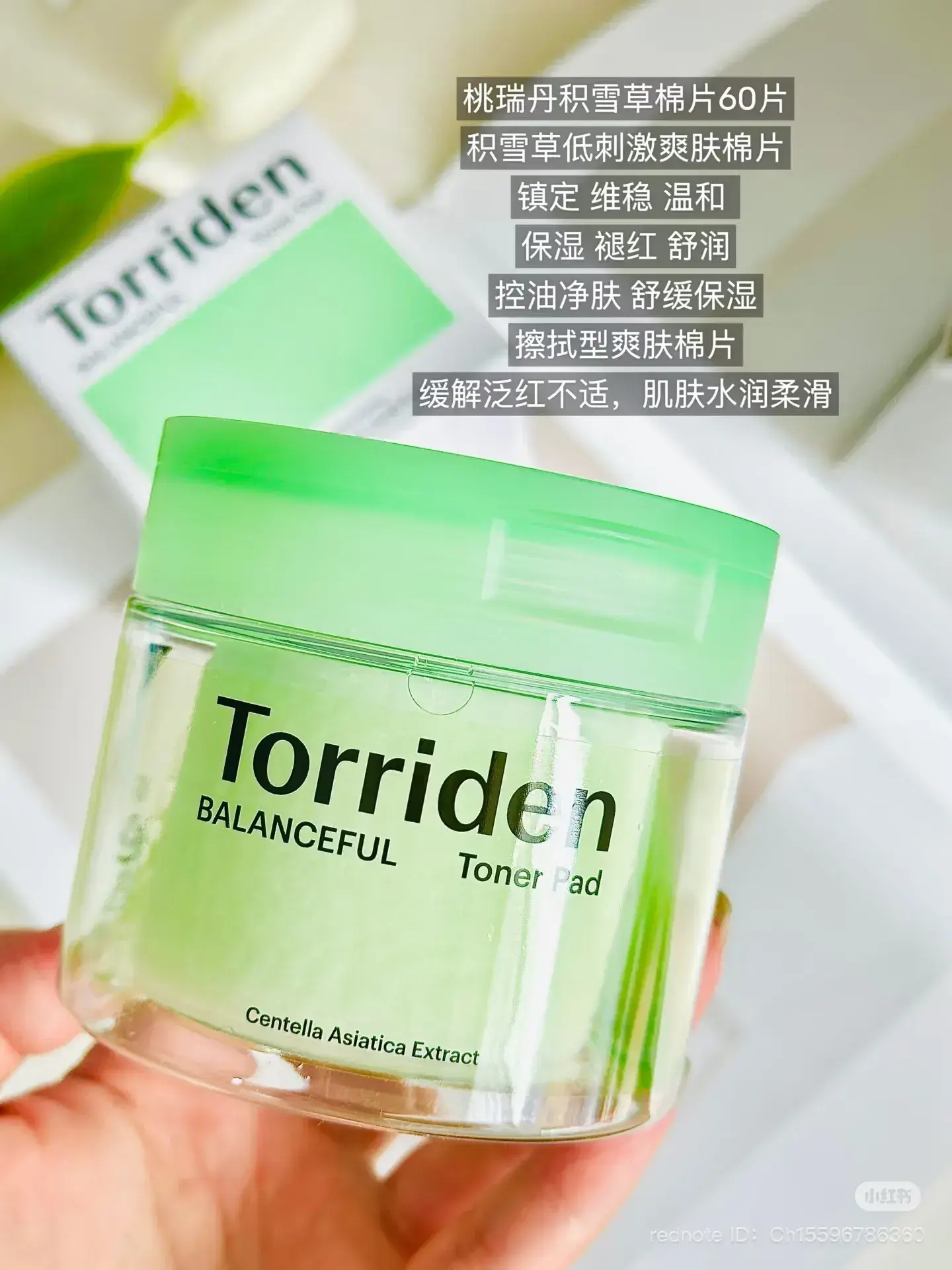 image_03200DC0-E075-44E2-9530-2A7C117A5B5B_1744541644