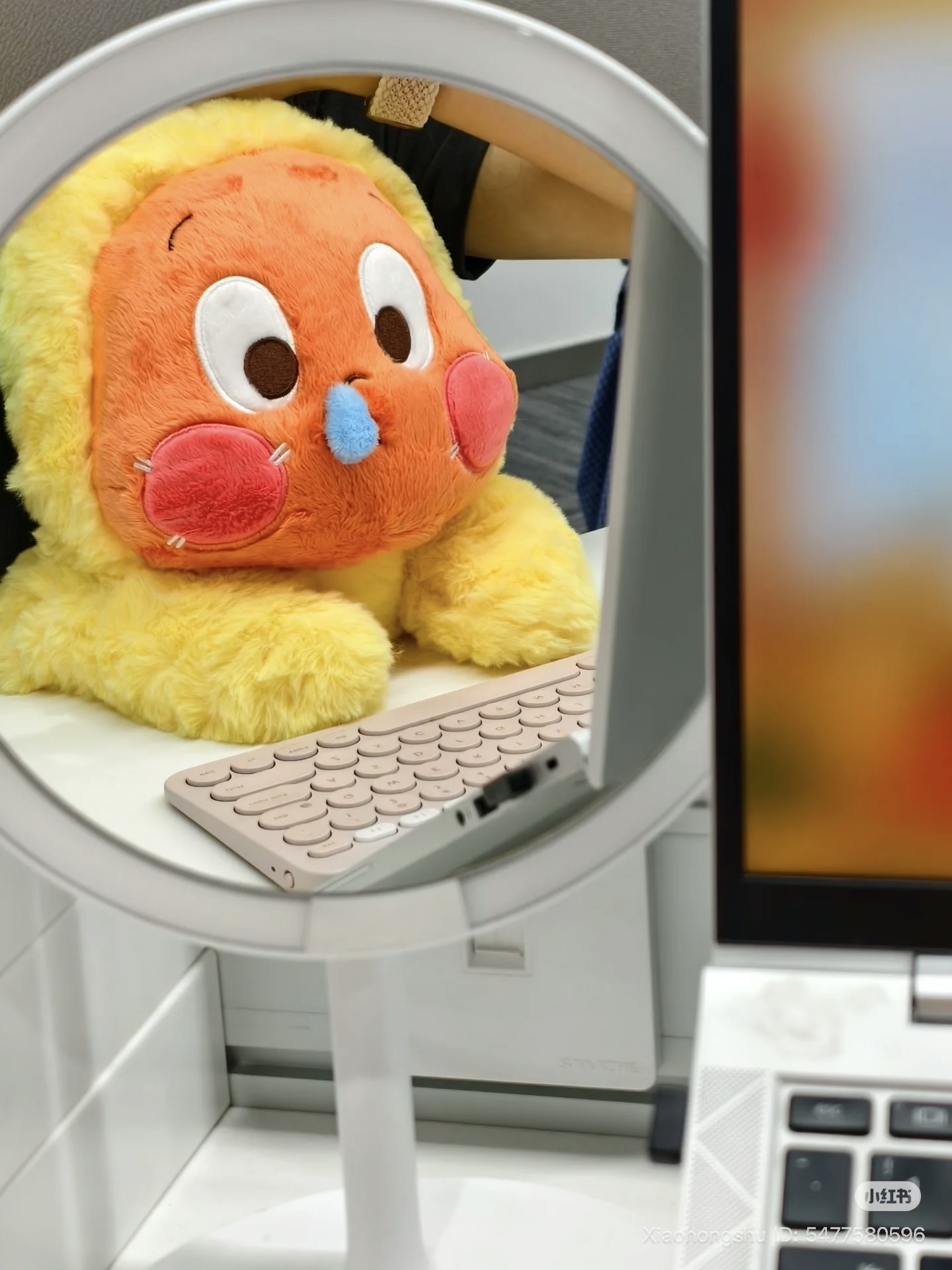 image_764D6F3F-E7A5-48EC-A106-42F8D8356996_1759588256