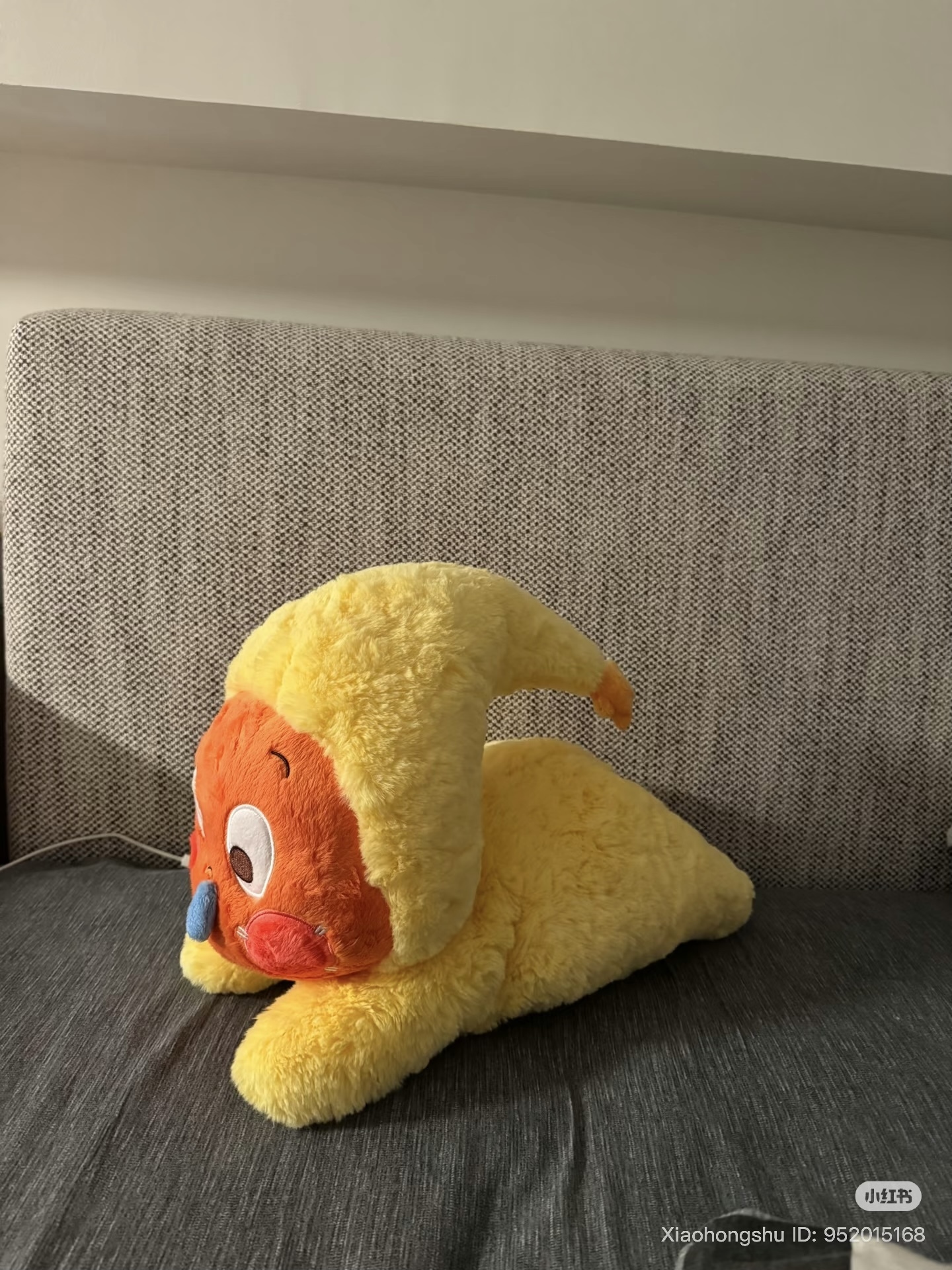 image_6432E730-073E-49C9-891B-AC3FBD6083E4_1759588256