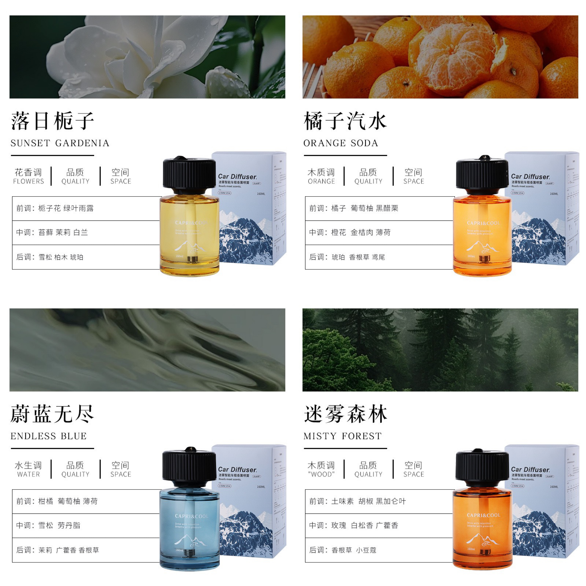 image_6B2282AB-3F9B-446B-A367-404F40E1180F_1763973564