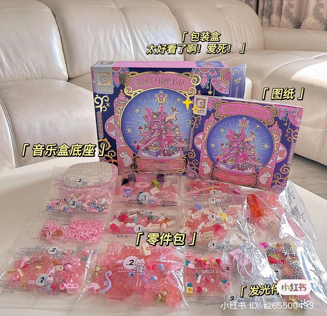 IMG_9475-1731164424028