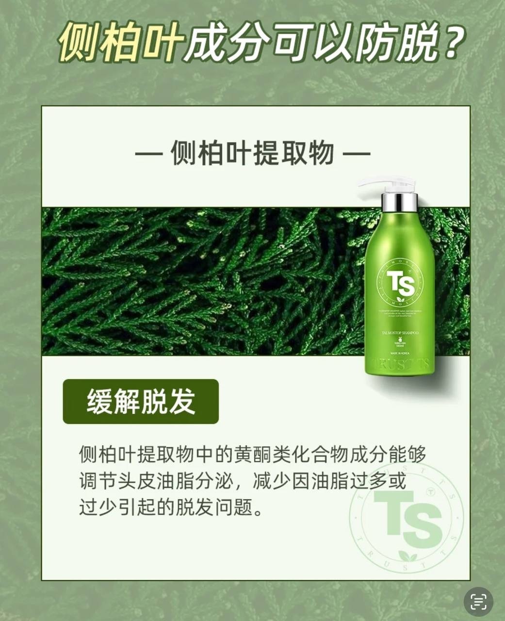 image_2100243A-B238-4FCD-82A7-FE57375A1992_1752417800