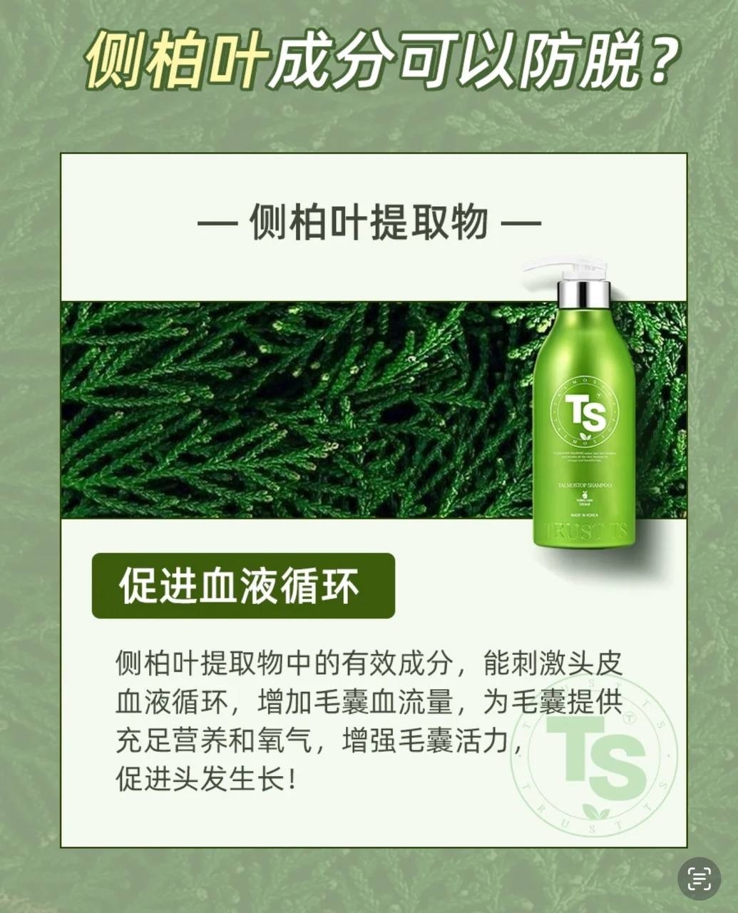 image_0233579F-2FAC-40FE-92B0-DE22342FA7A1_1752417801