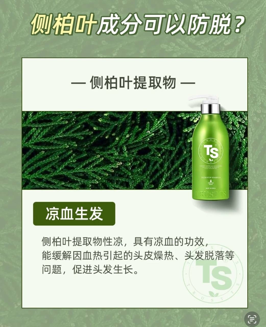 image_3C9C9005-D872-4E2C-A38D-381EA369EAA3_1752417801