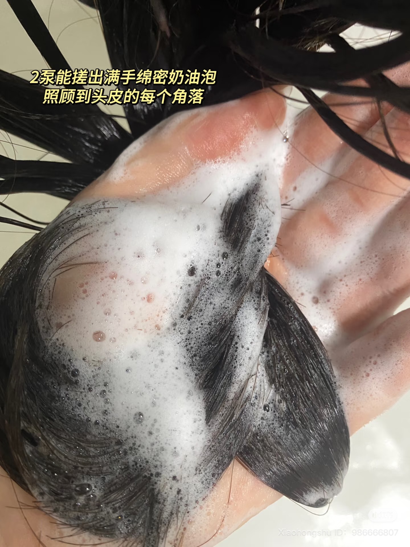 image_D3CF18D3-CC87-42B0-B7D8-28C349FA45B0_1752417801