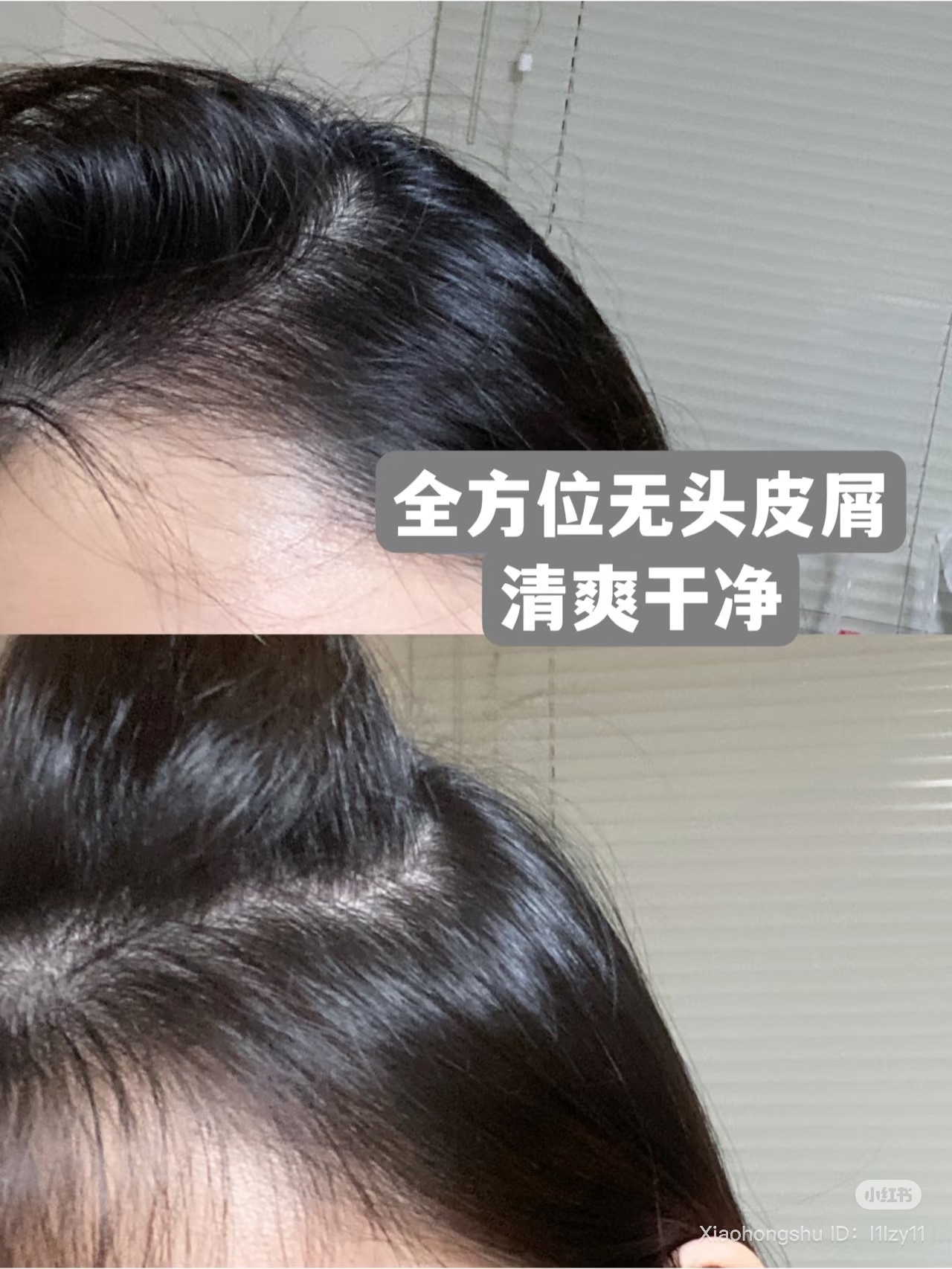 image_459077F2-A9B2-400C-B794-6E330A83C805_1752417801