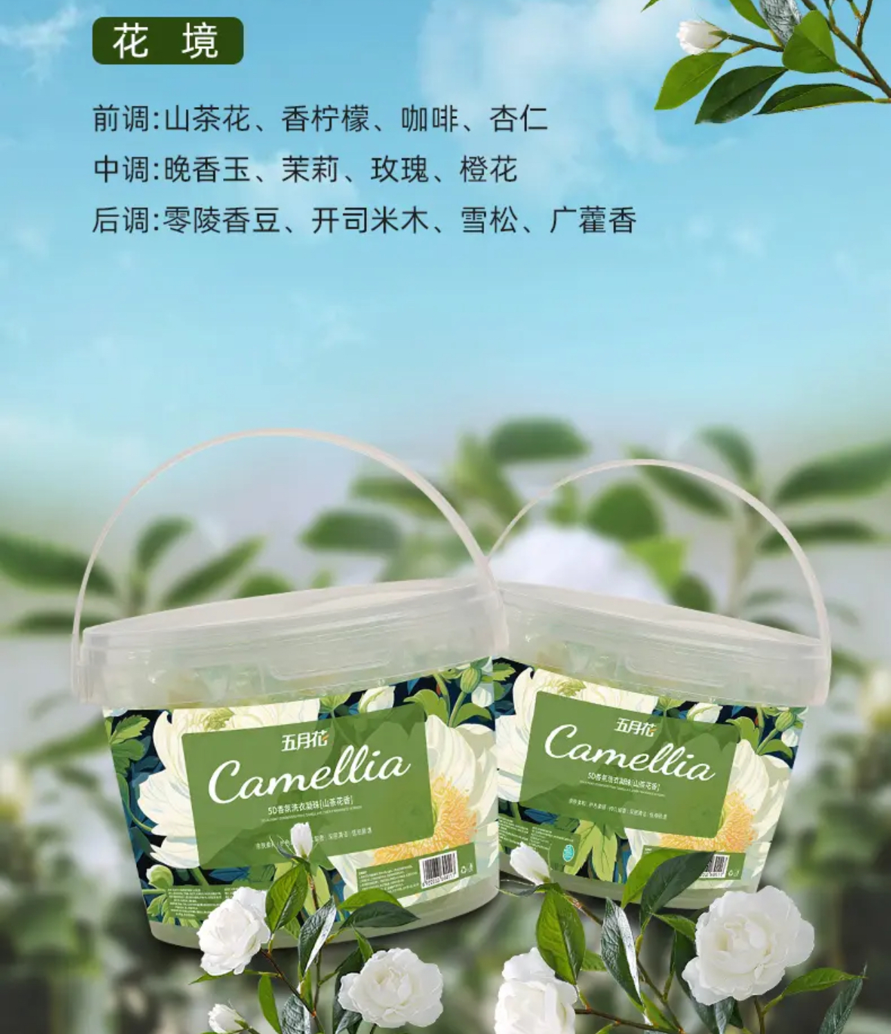 IMG_3552-1728397448229