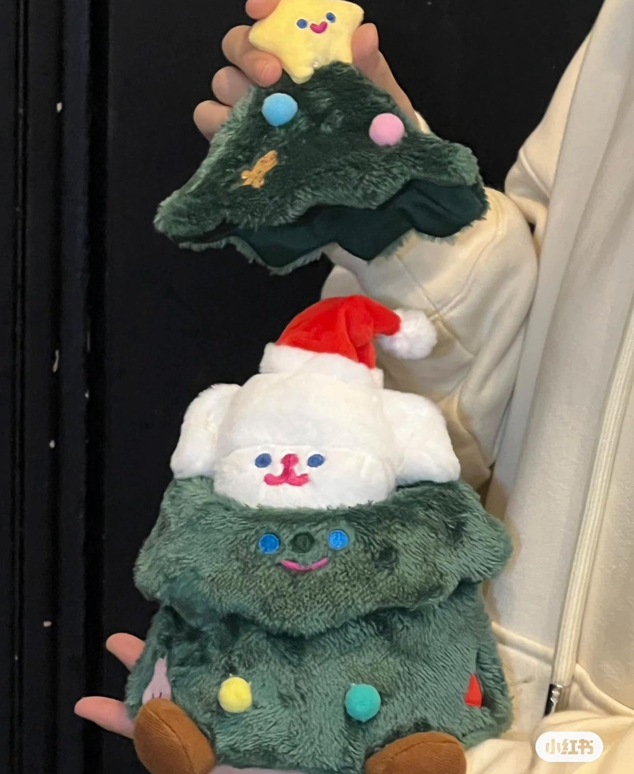 IMG_9466-1731419369142