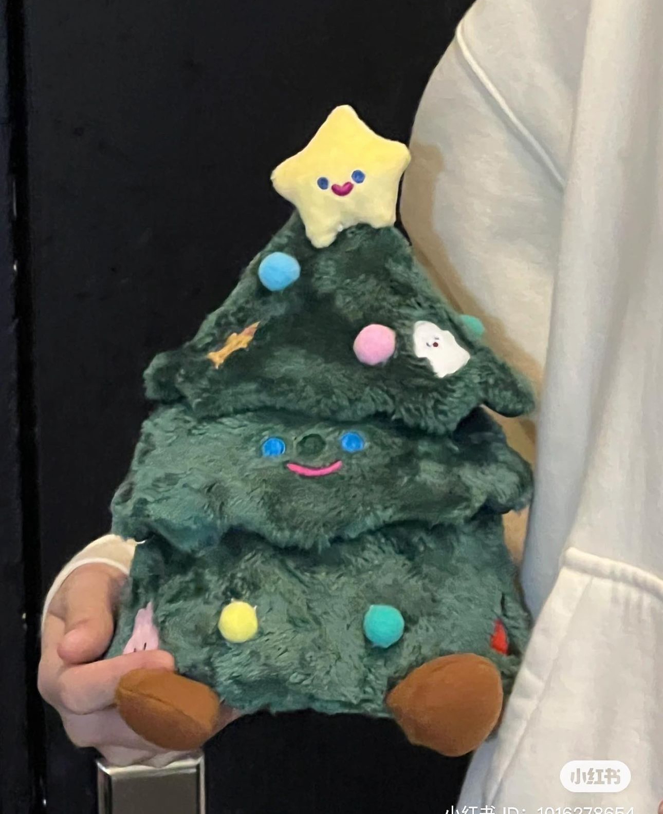 IMG_9468-1731419369157