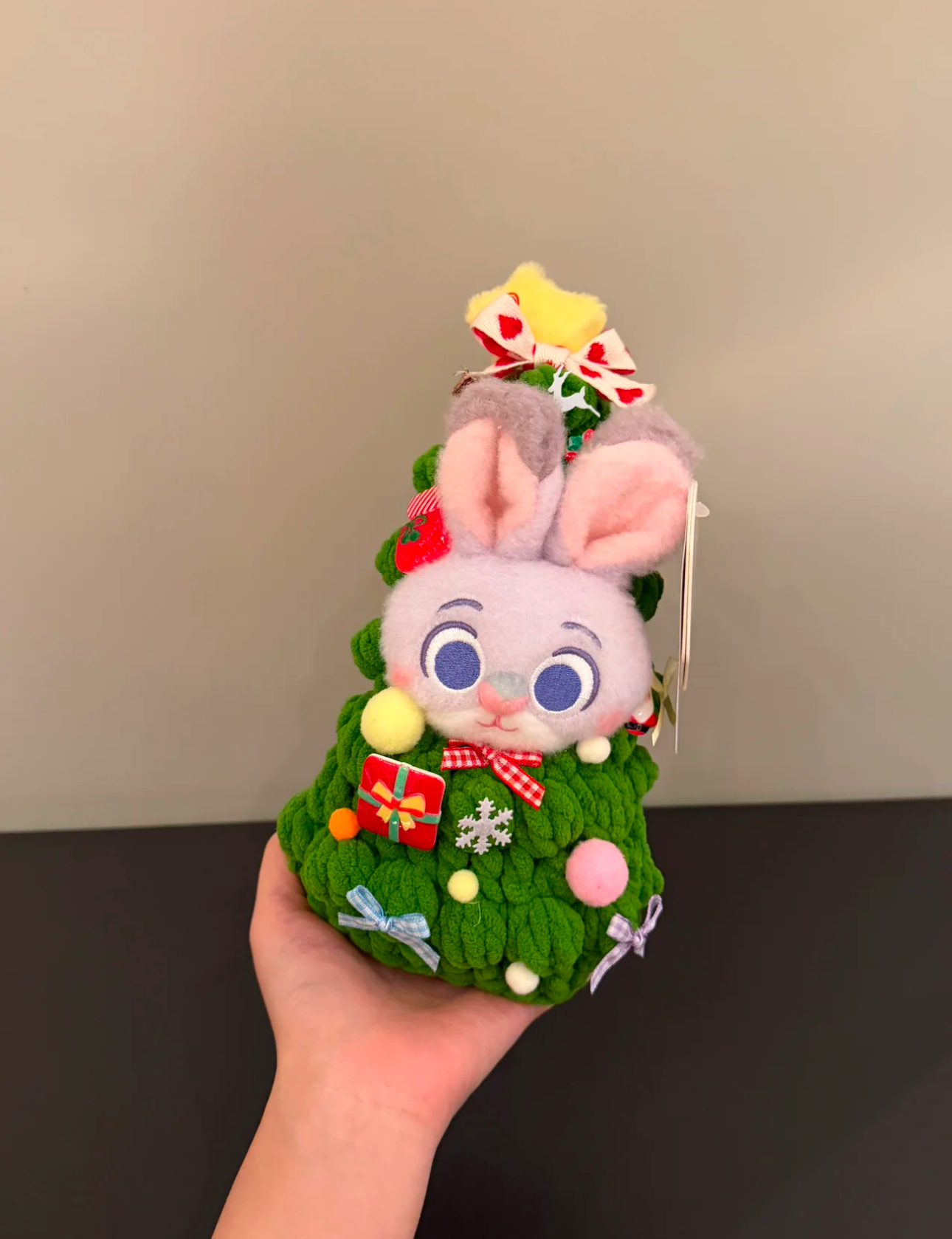 image_0E4F0D30-4F58-4309-AB0F-28AF88D2EDF6_1765196609