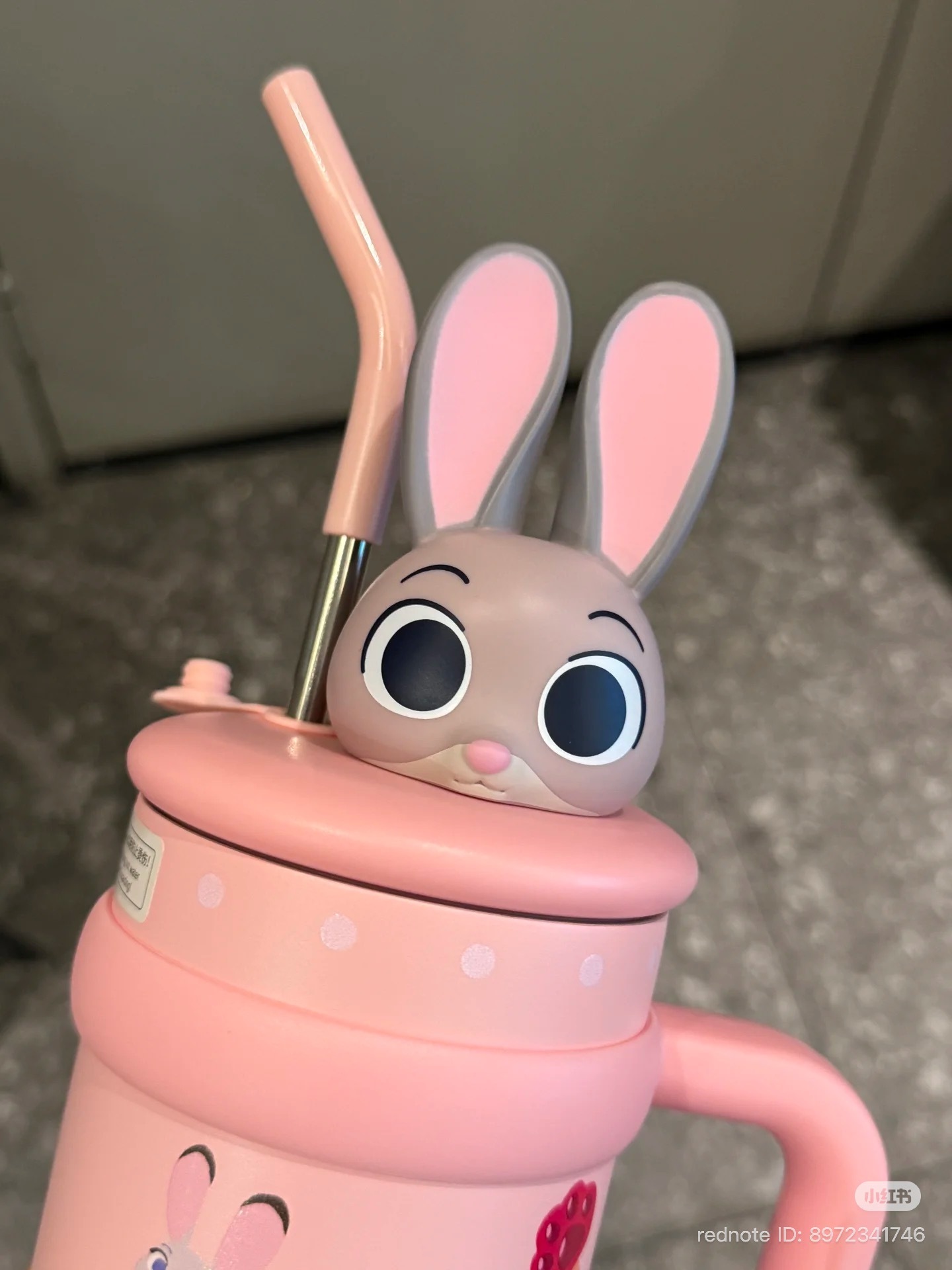 image_BB54A0AB-1551-4038-BD95-616DDA24D333_1765197542