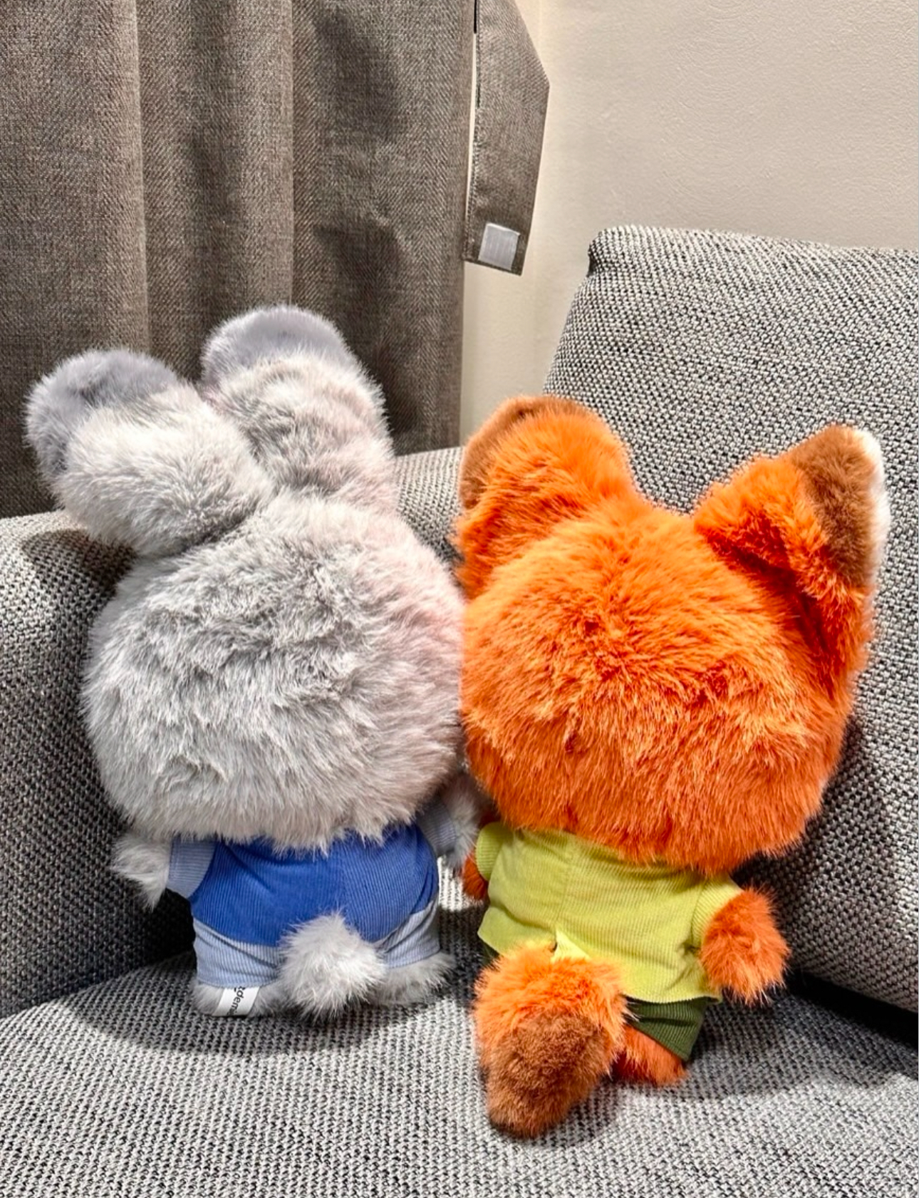 image_95509CF2-A323-4FD8-B370-155287E3B62F_1765200397