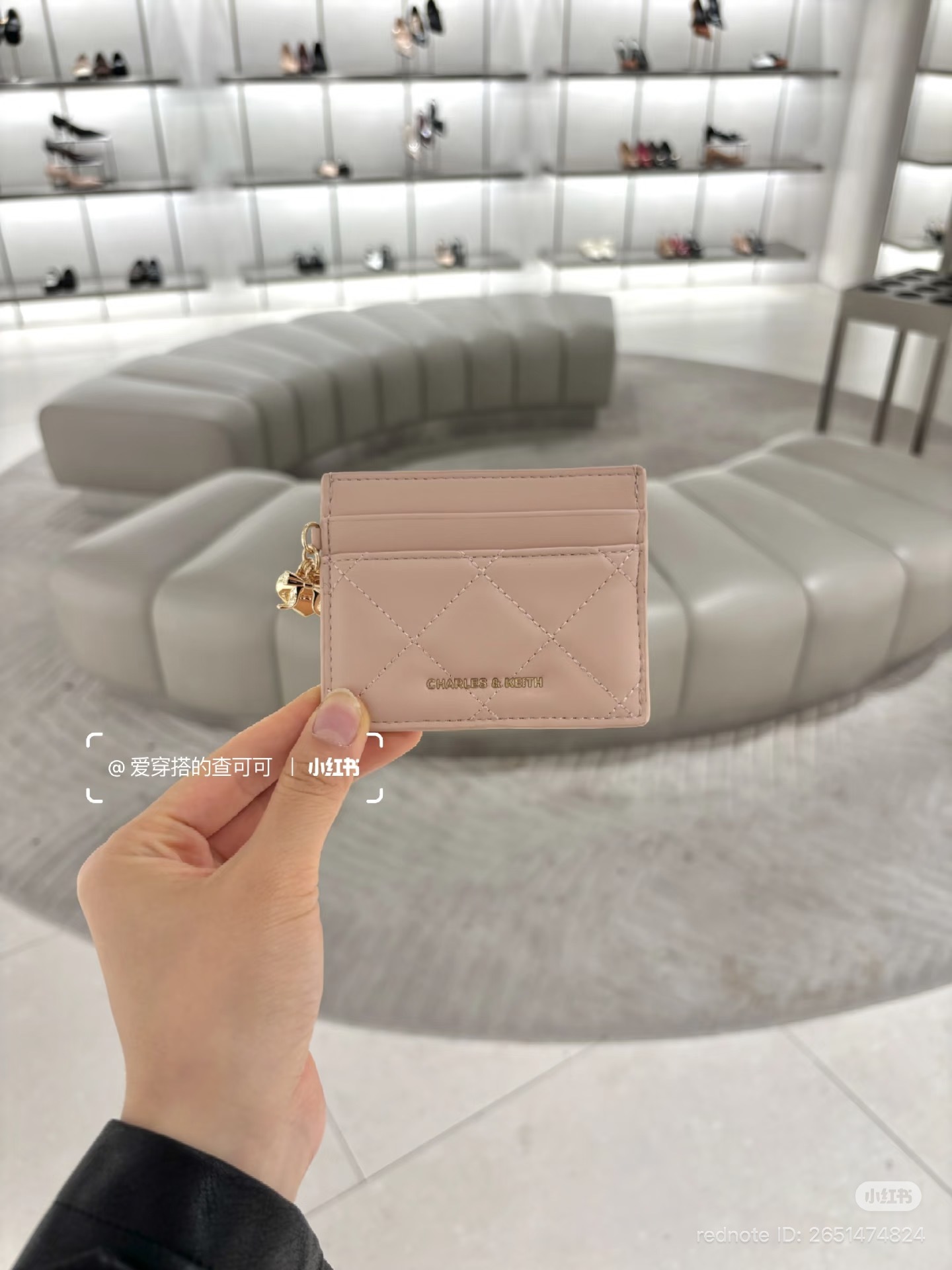 image_2100526C-20B2-46DC-B252-90784804B7D0_1765276301