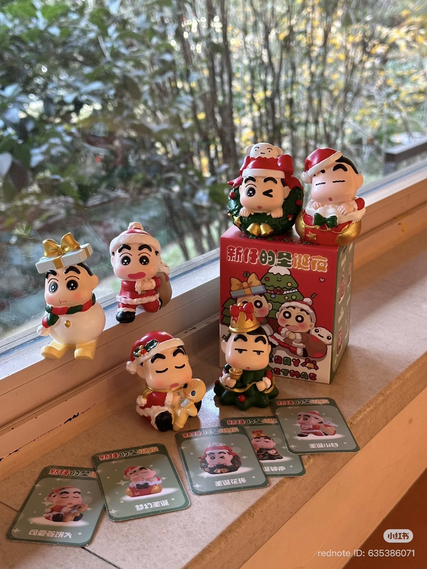 image_FE910A5F-5E66-43DD-A447-D3AE71F451B5_1765332828