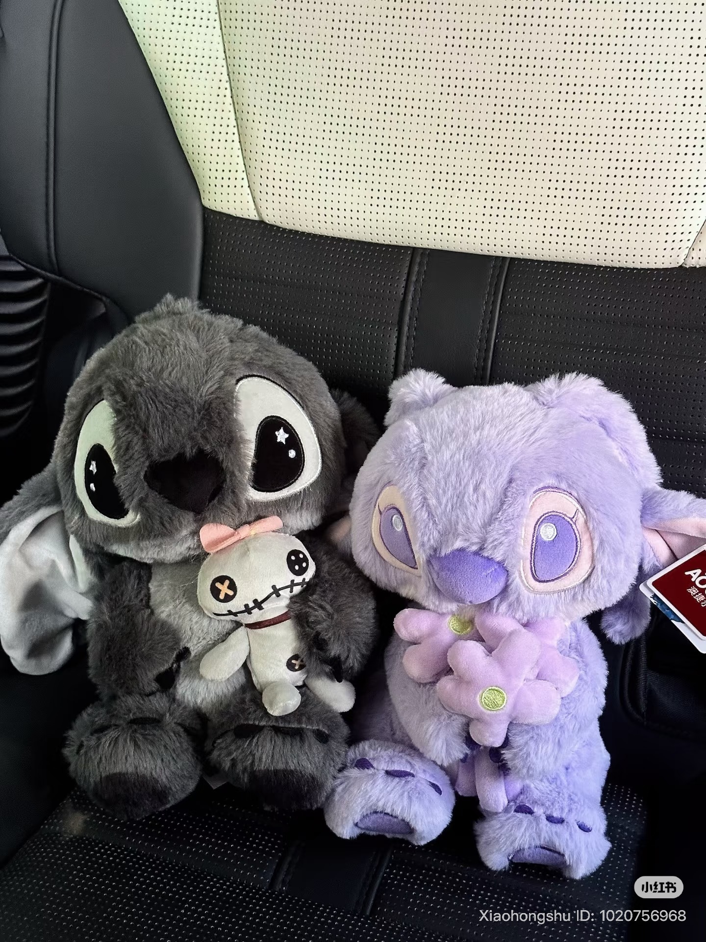 image_7A9DFAB1-E7CF-4150-91AD-B8BE73D392A6_1761627349