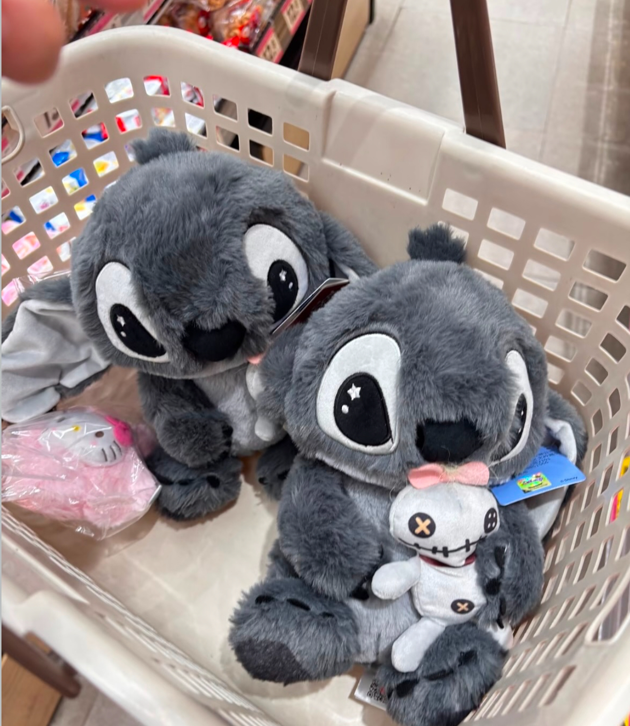 image_37C51138-E367-447A-B48B-1EF91E58435D_1761627349