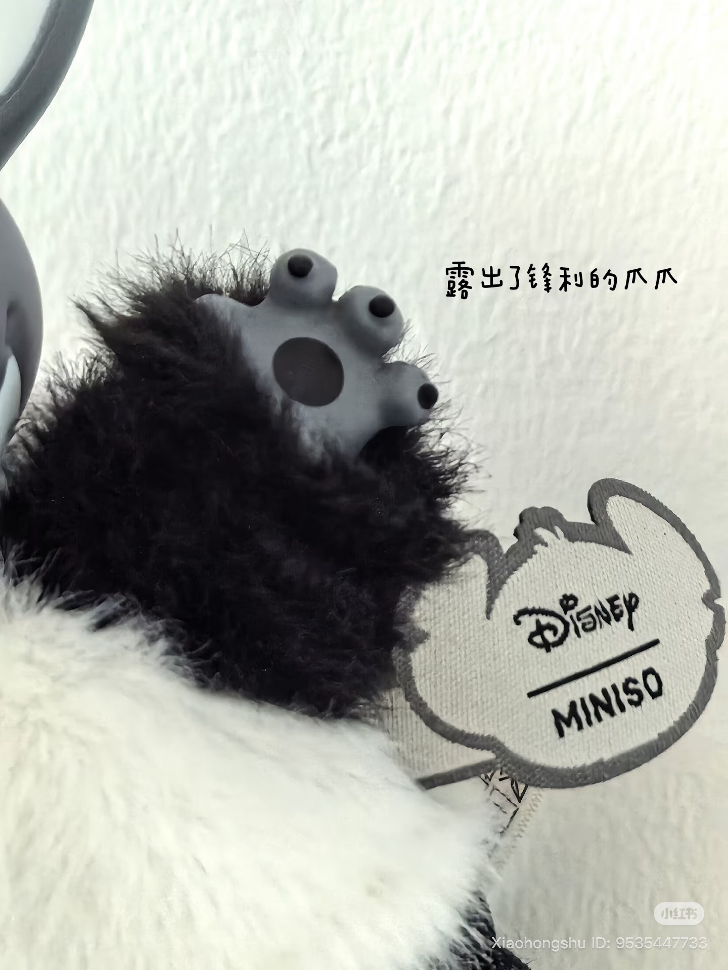 image_68DC3F7D-8168-4316-8486-F7FD7CEEE29B_1753196022