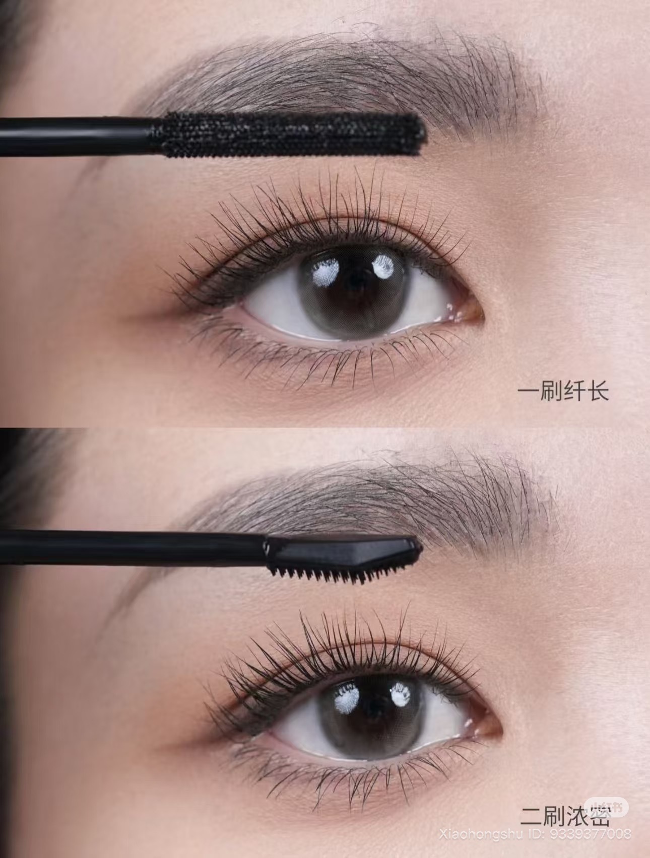 image_04C3375E-472B-4637-B1A2-B30ADA590FA7_1761828087