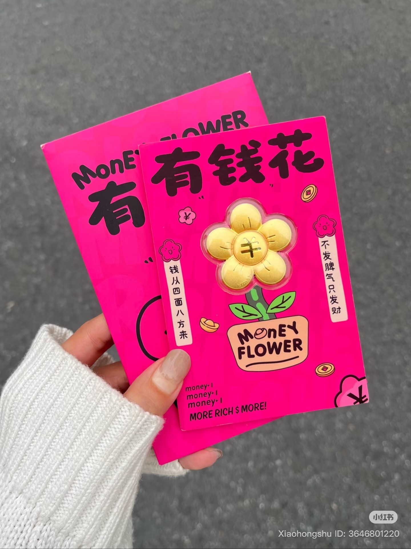 image_FF52231E-1117-4701-9977-A65C3616F100_1760947380