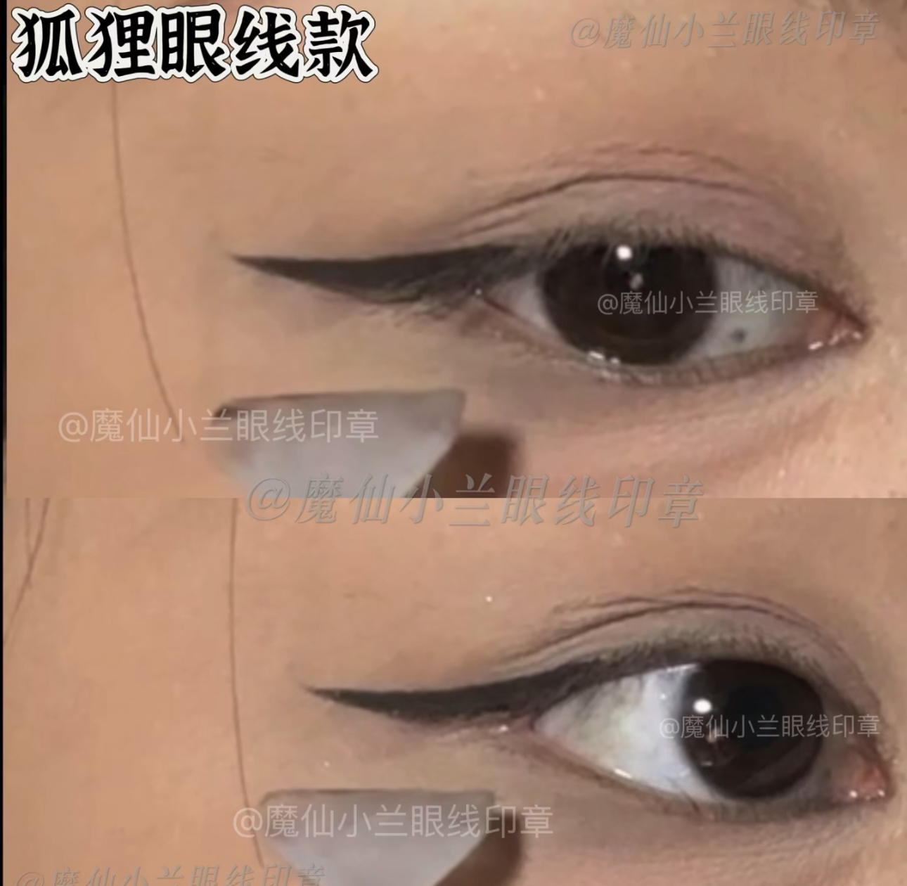 IMG_8433-1730637665346