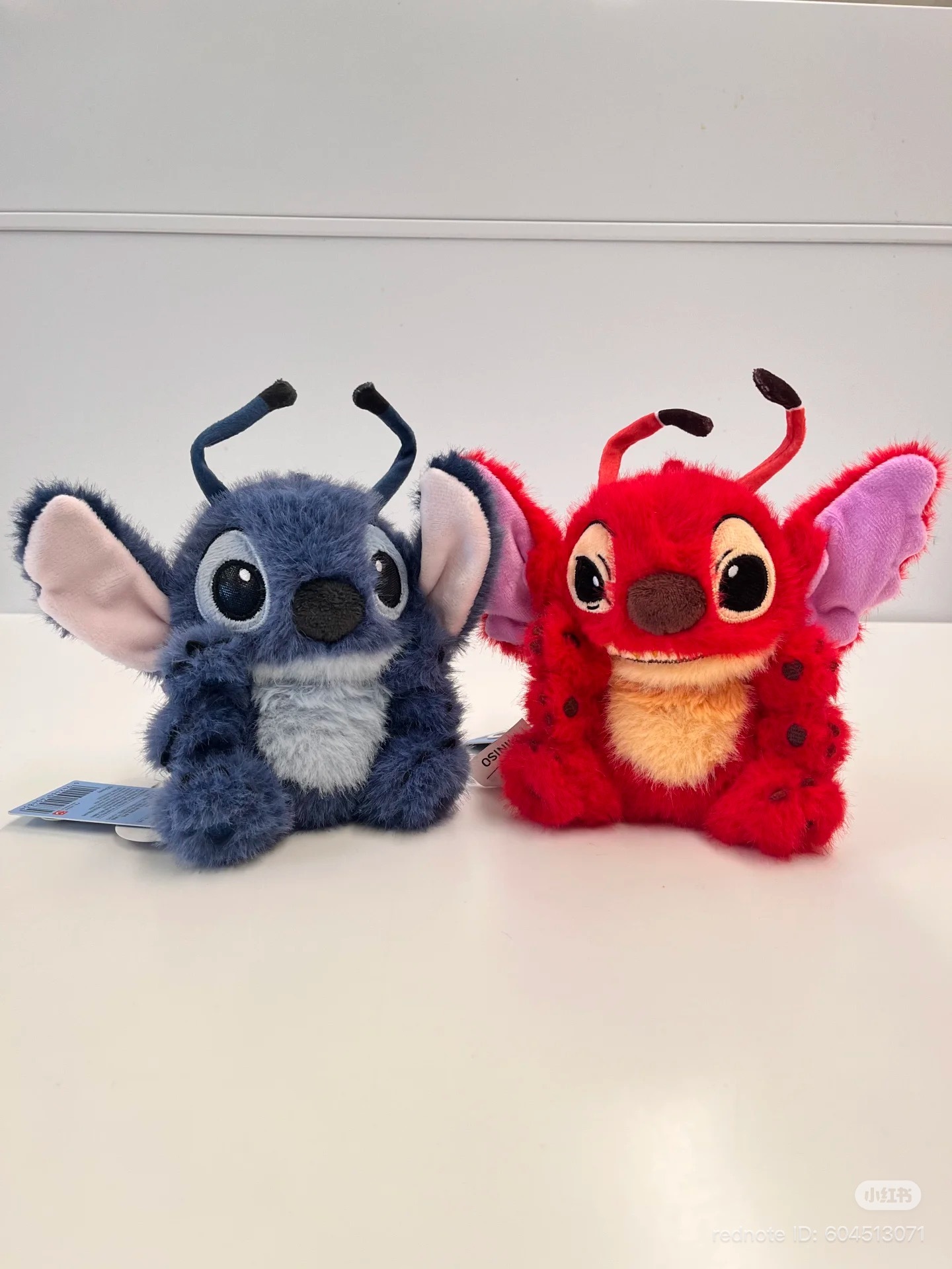 image_C2759C4D-62A9-42F3-B9A2-DCCC7E0FCB3E_1766055406