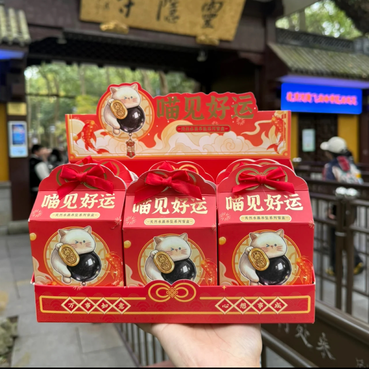 image_9CD569BB-0E45-416F-9E03-F8C1498293CC_1766060879