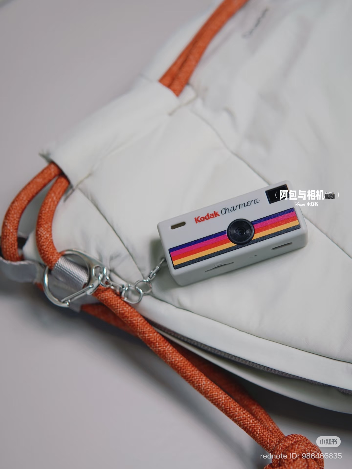 image_C69E42D7-72AC-44BA-AC99-6BC003EF3886_1766063012