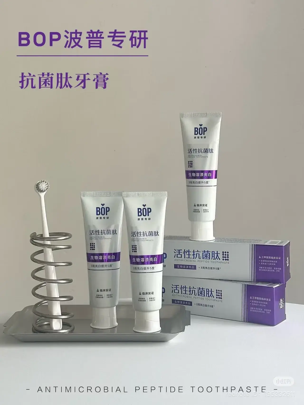 IMG_8818-1740484299838