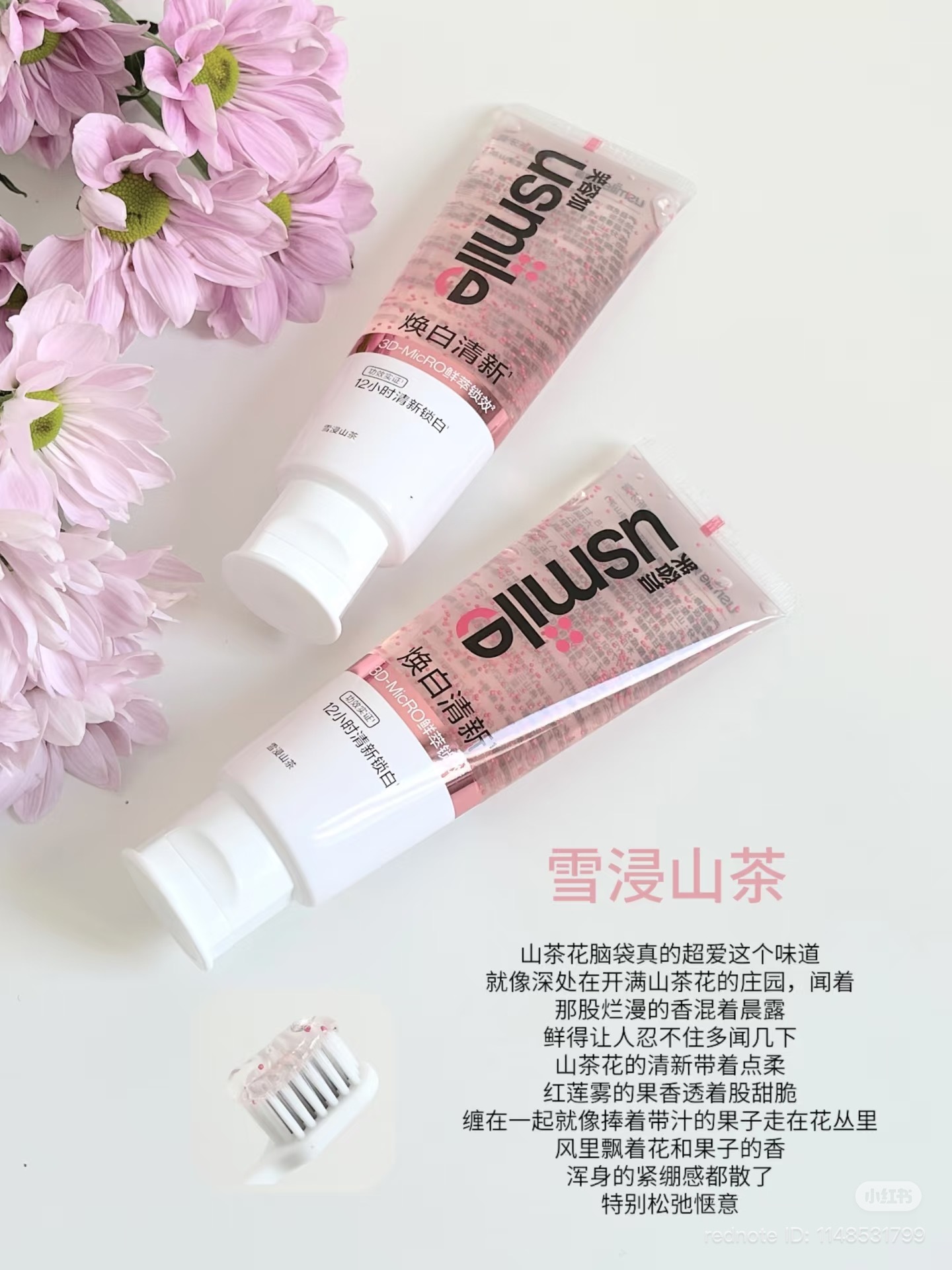 image_B36C121E-E696-4627-94D8-87C0FAE084CE_1766222224