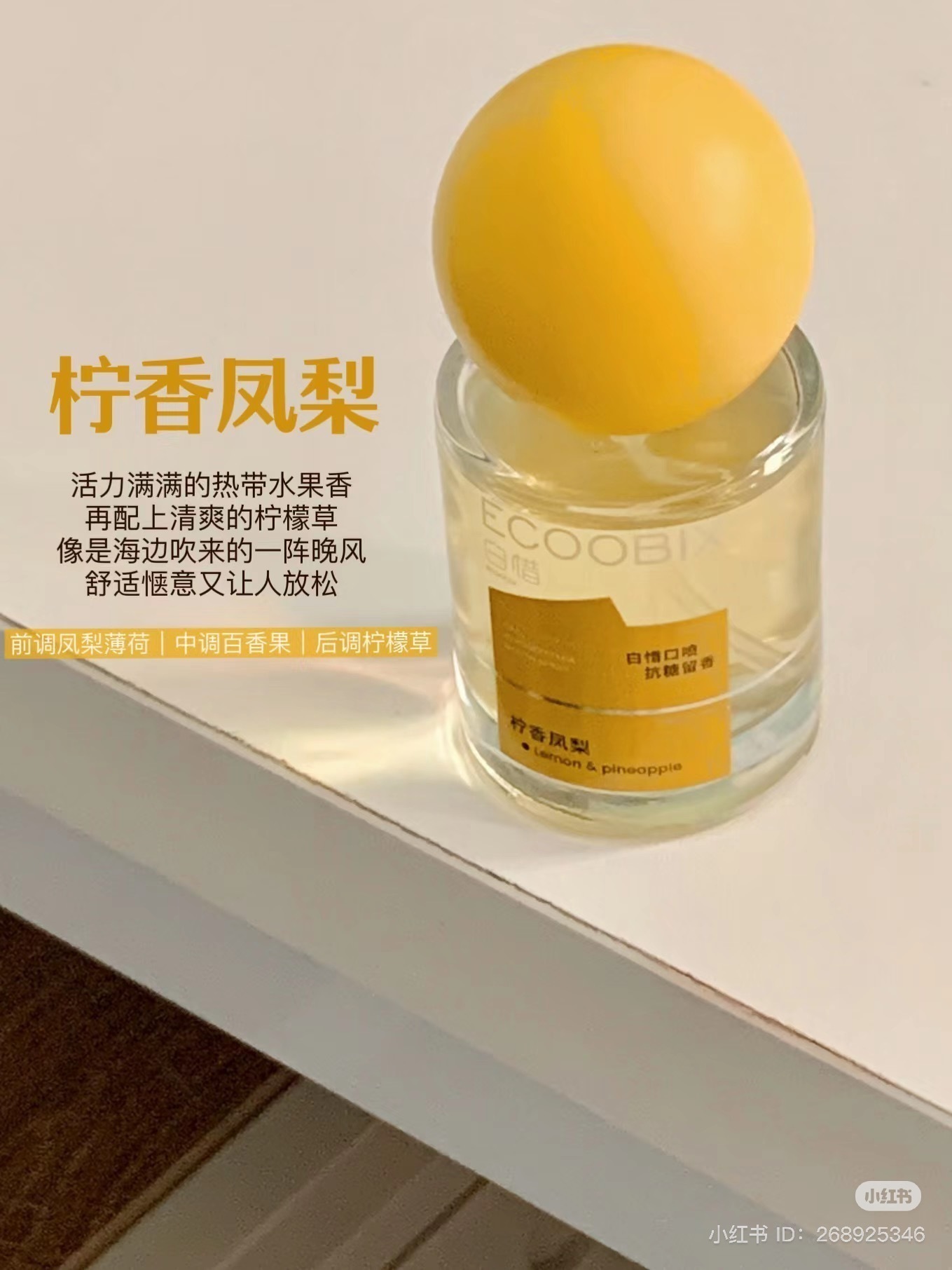 IMG_3958-1728642564046