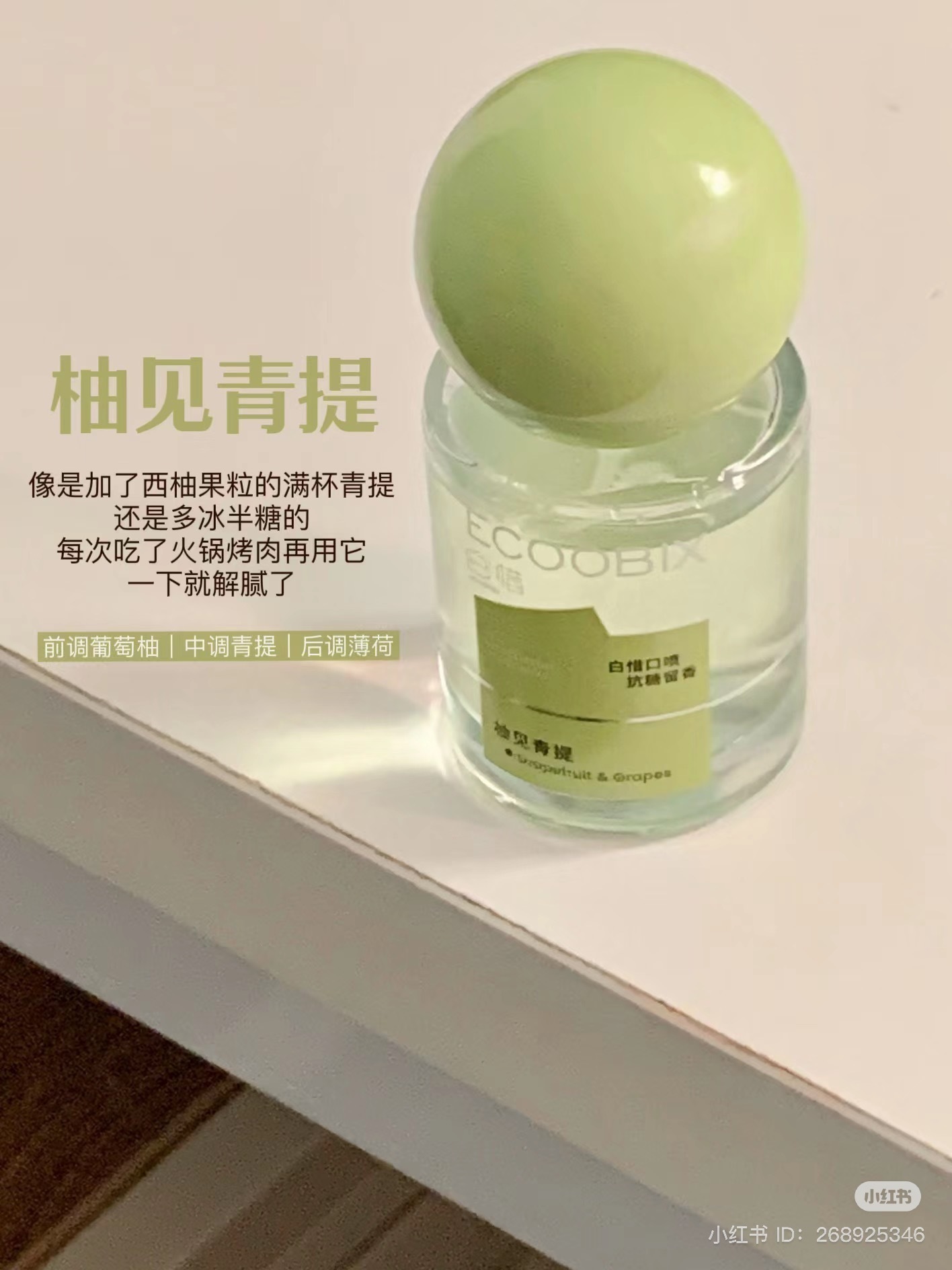 IMG_3959-1728642564050