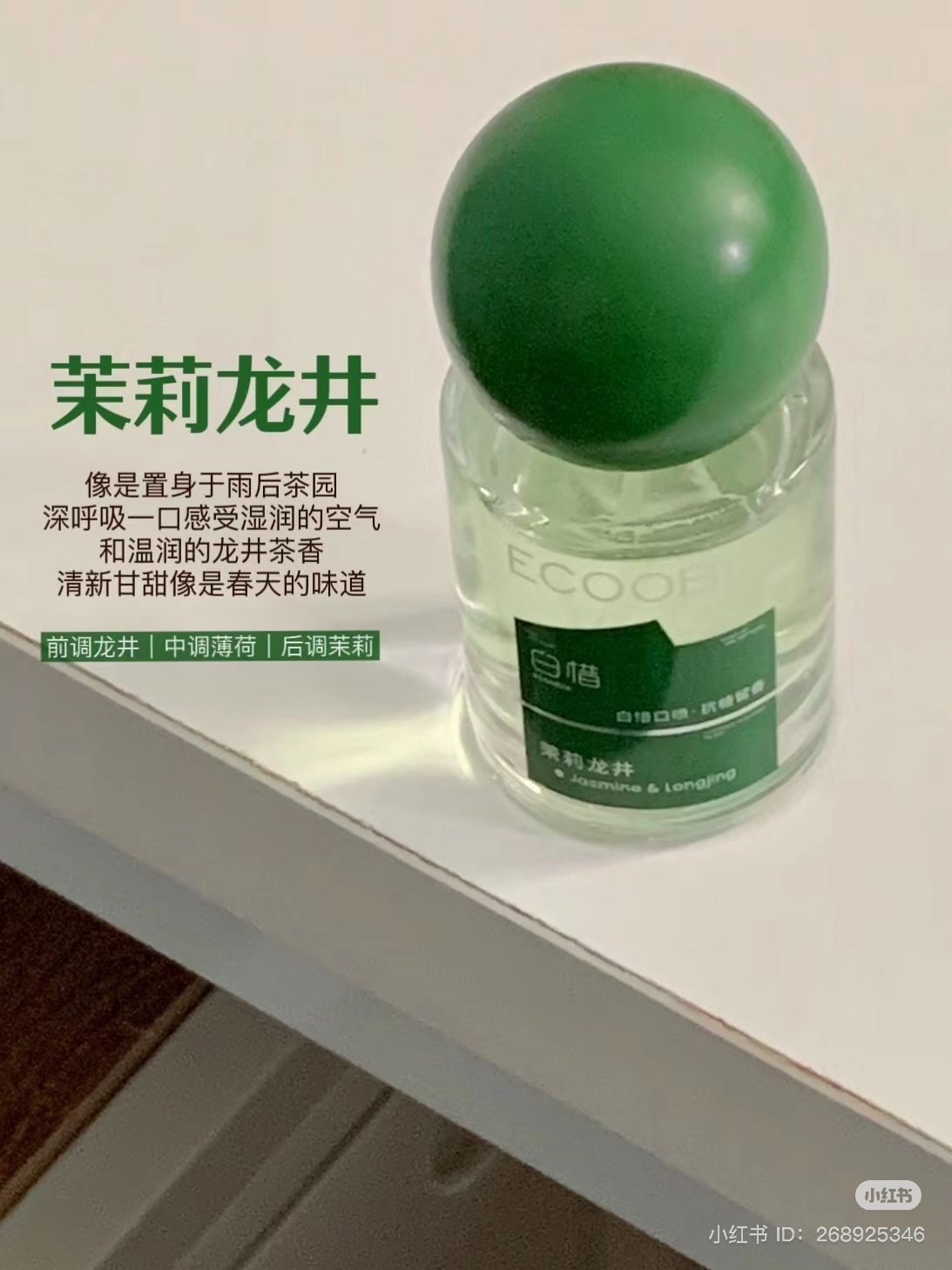 IMG_3960-1728642564057