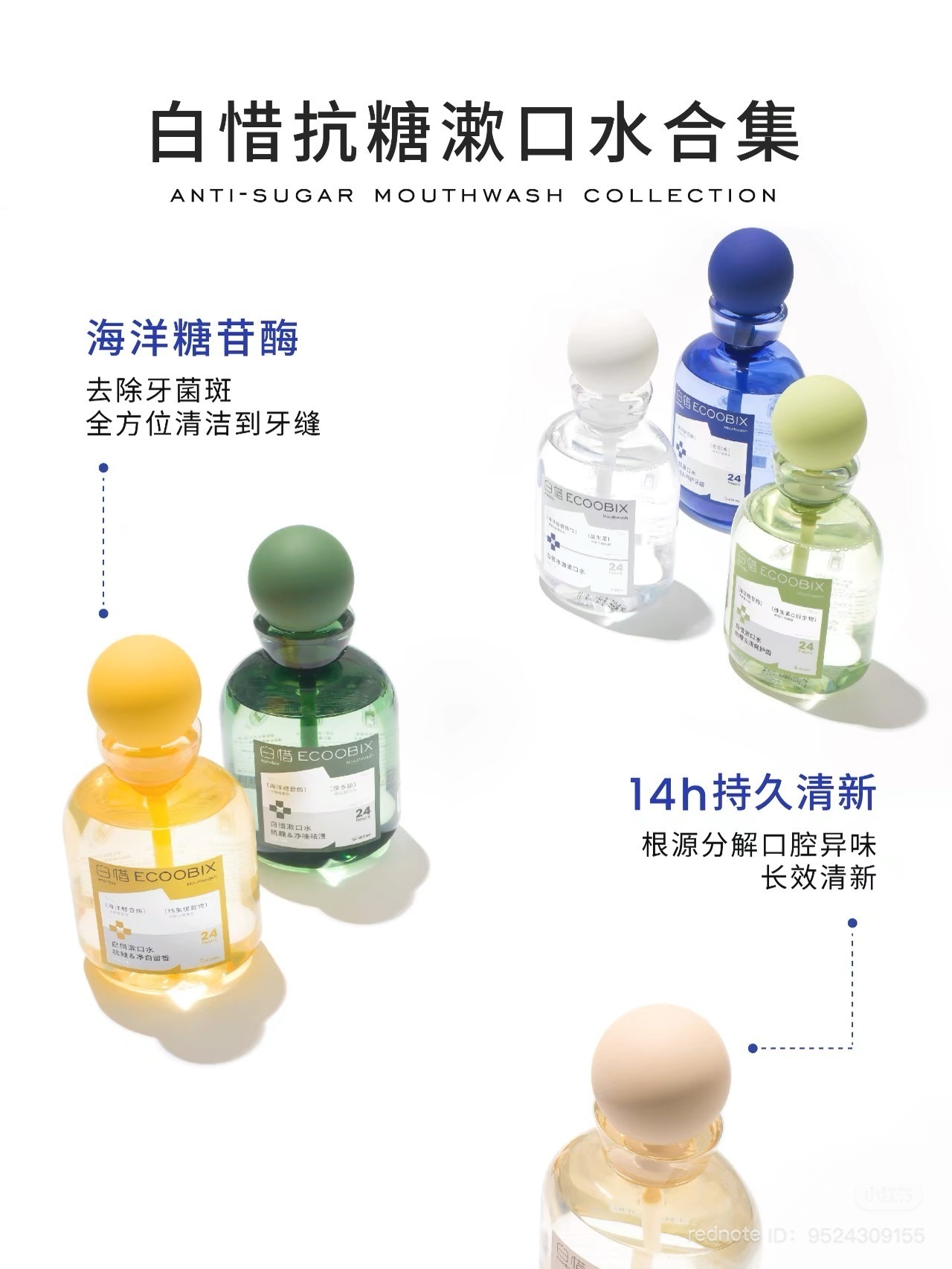 IMG_8905-1740491806442