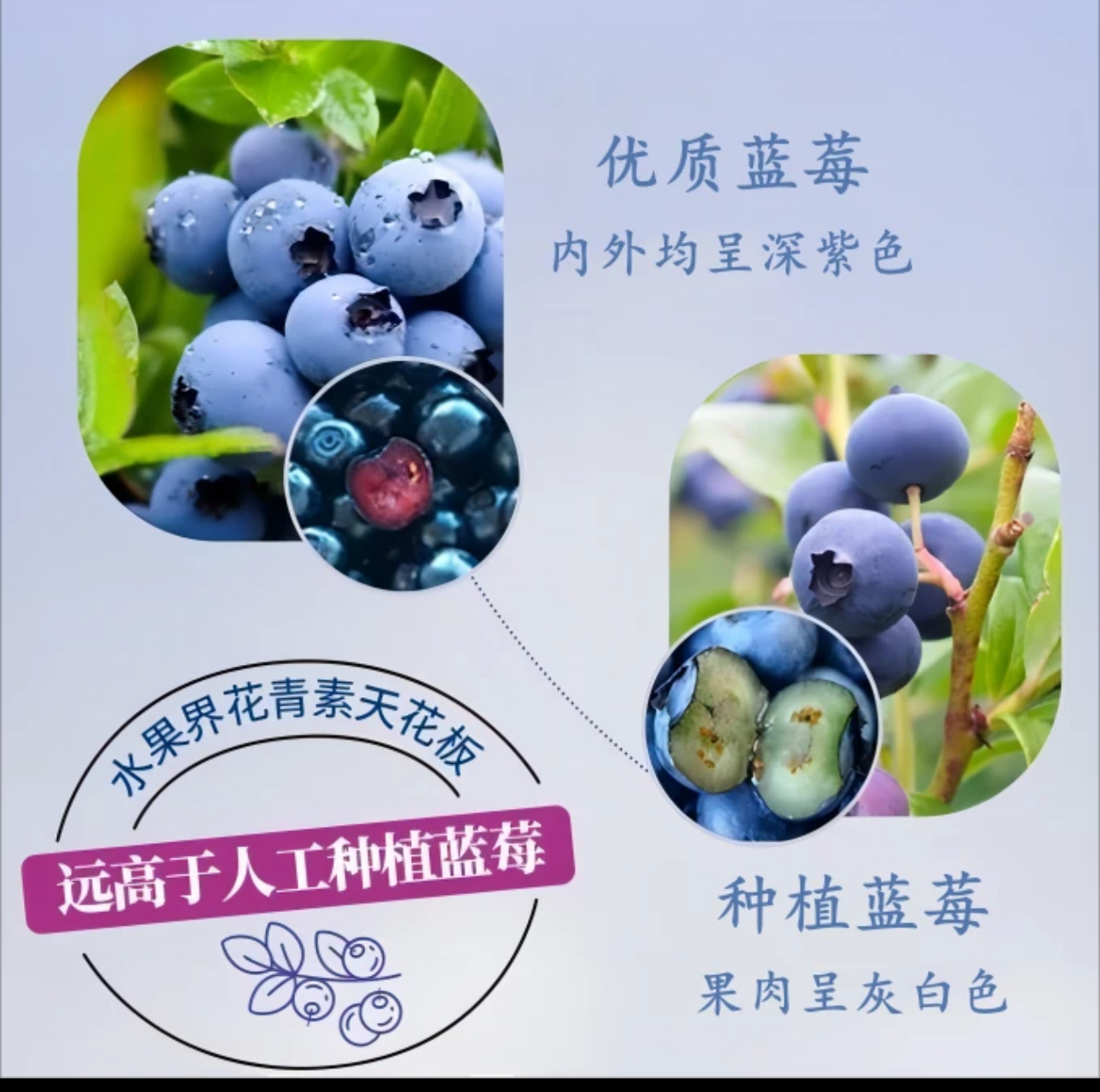 IMG_0842-1727654947712