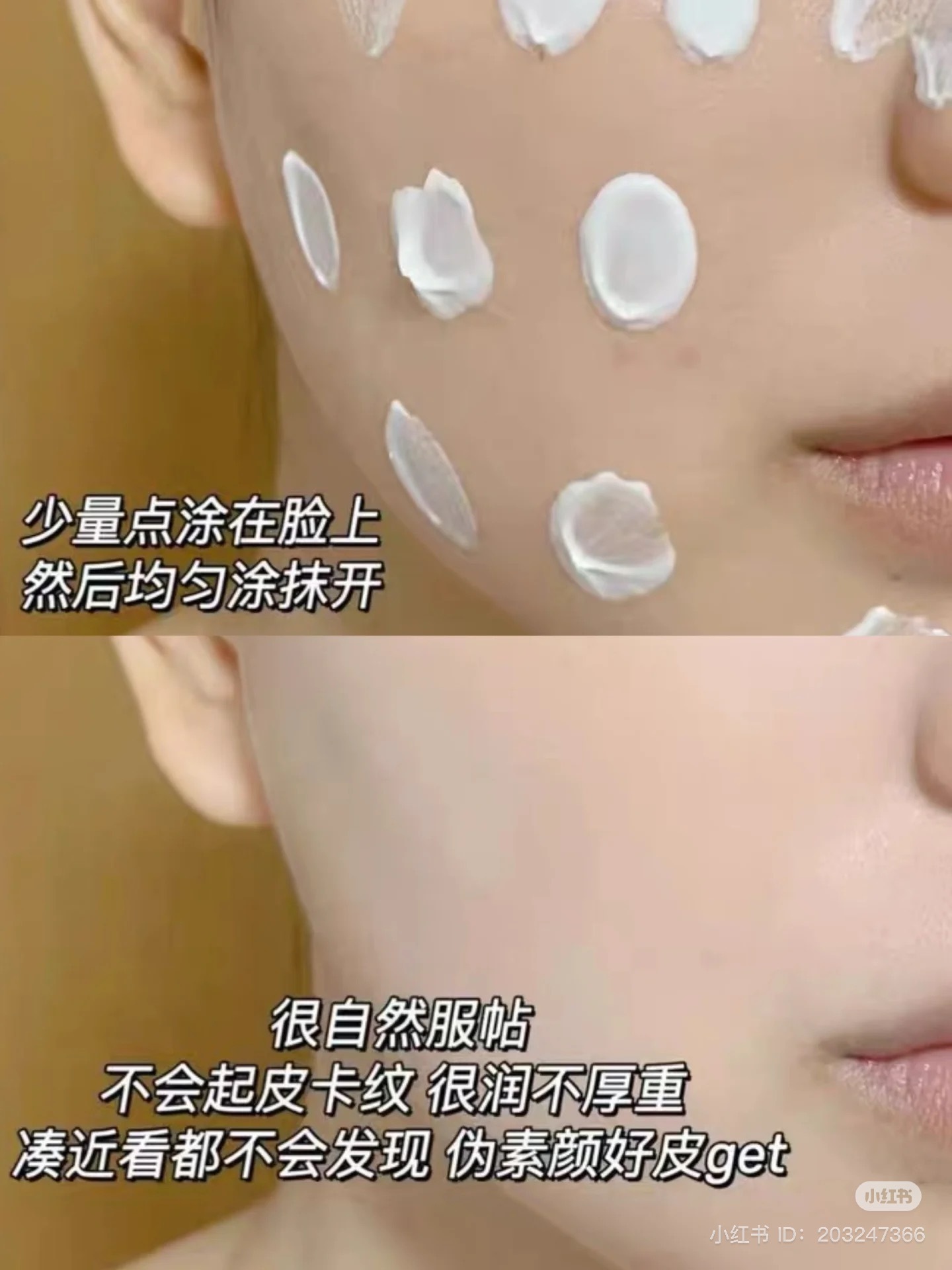 IMG_7887-1735020503613