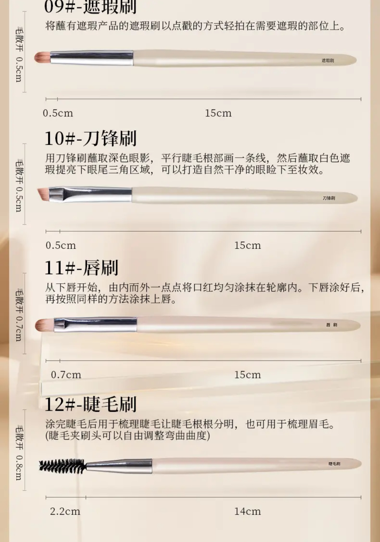 IMG_8050-1726978527071