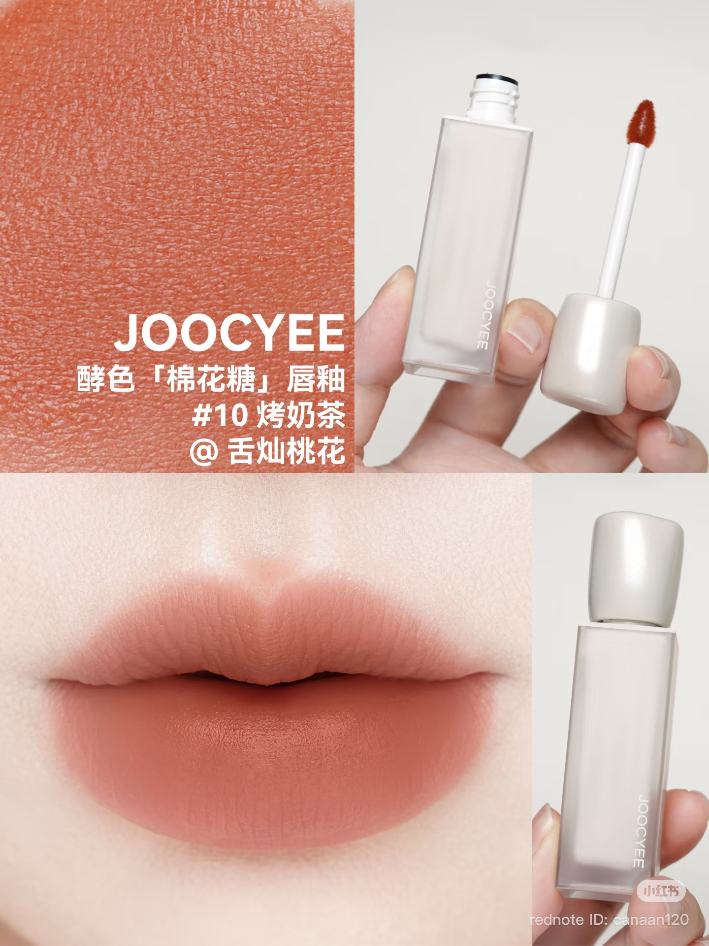 image_B9A40B97-0A00-493F-BA7F-7332FFF300D3_1766998326