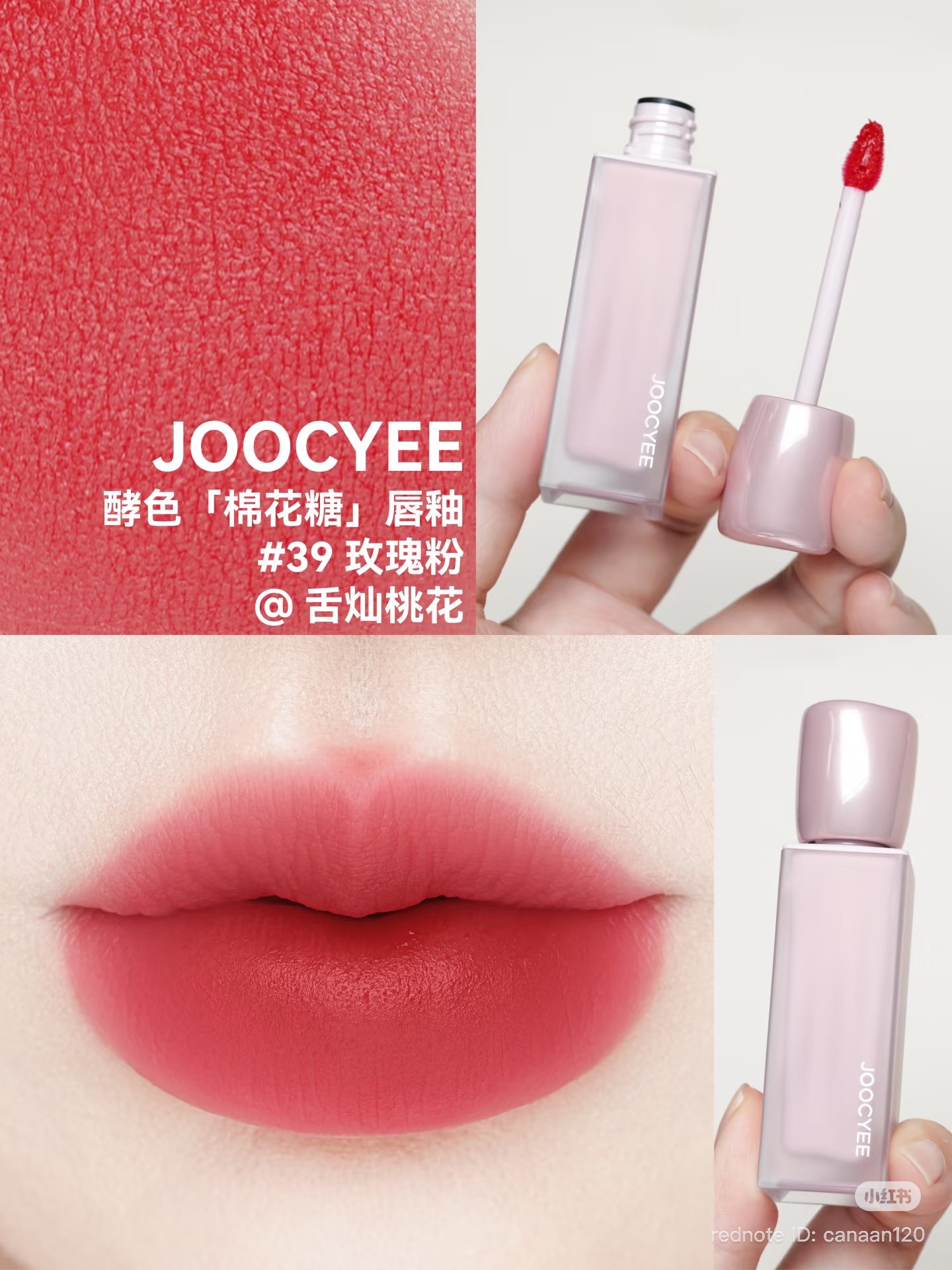 image_F23024E2-C1EF-40E0-B2D1-29FCDBA3E3F7_1766998326